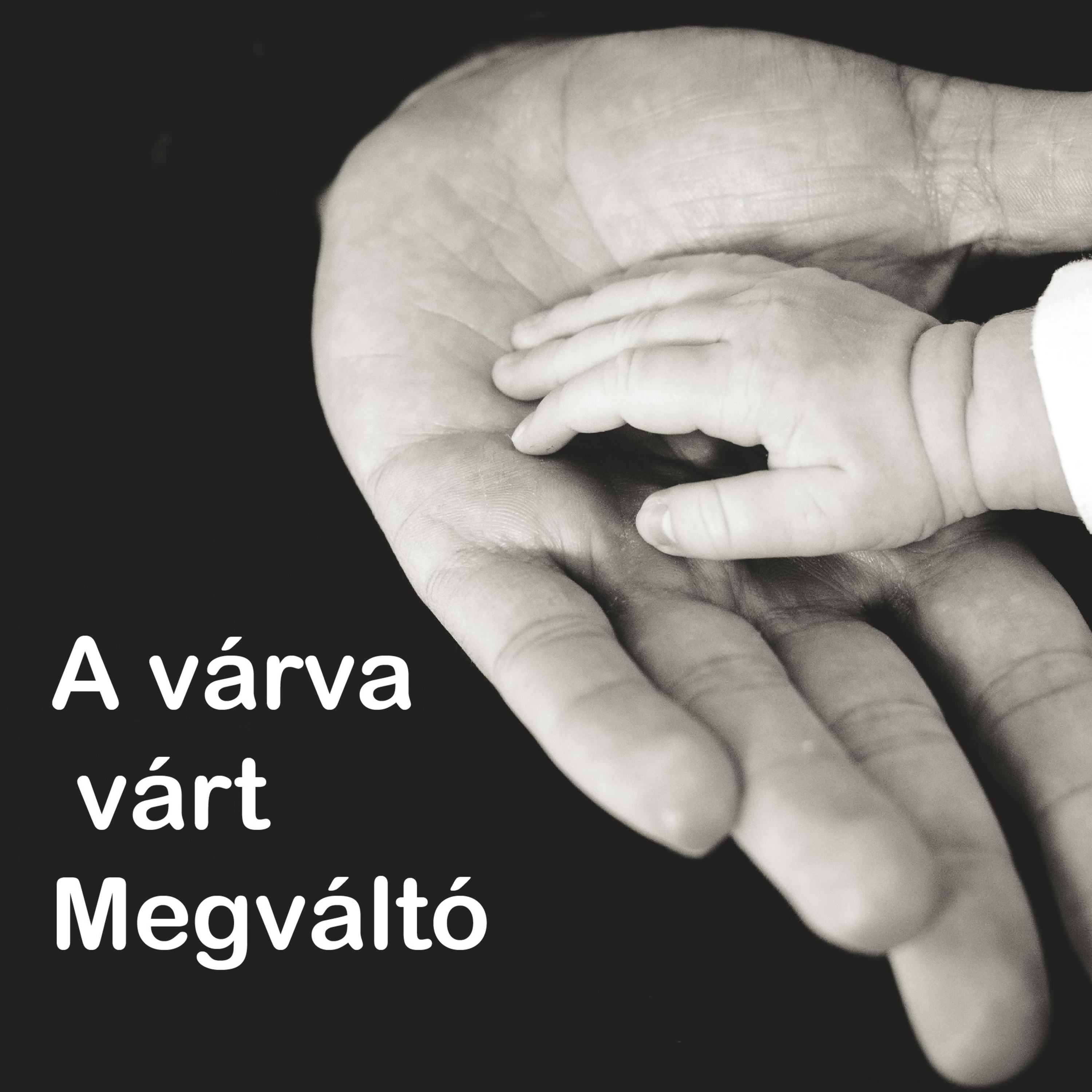A várva várt Megváltó - Lukács 2:22-32 episode artwork