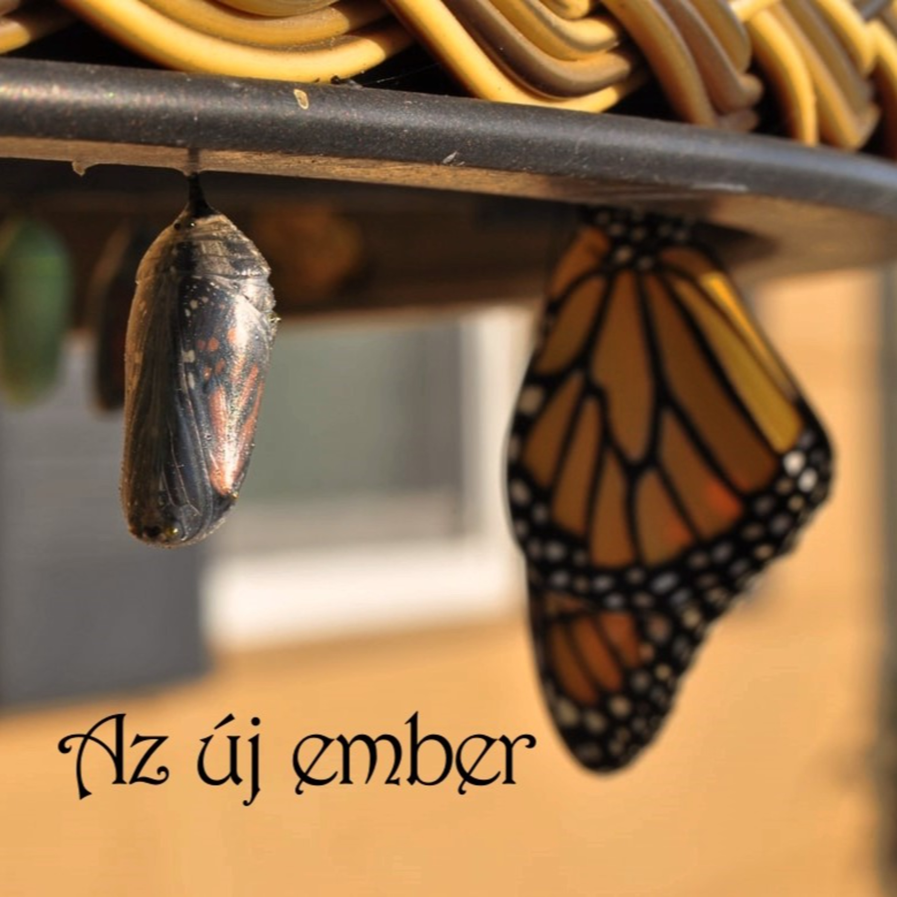 Az új ember - Efézus 4:17-24 episode artwork