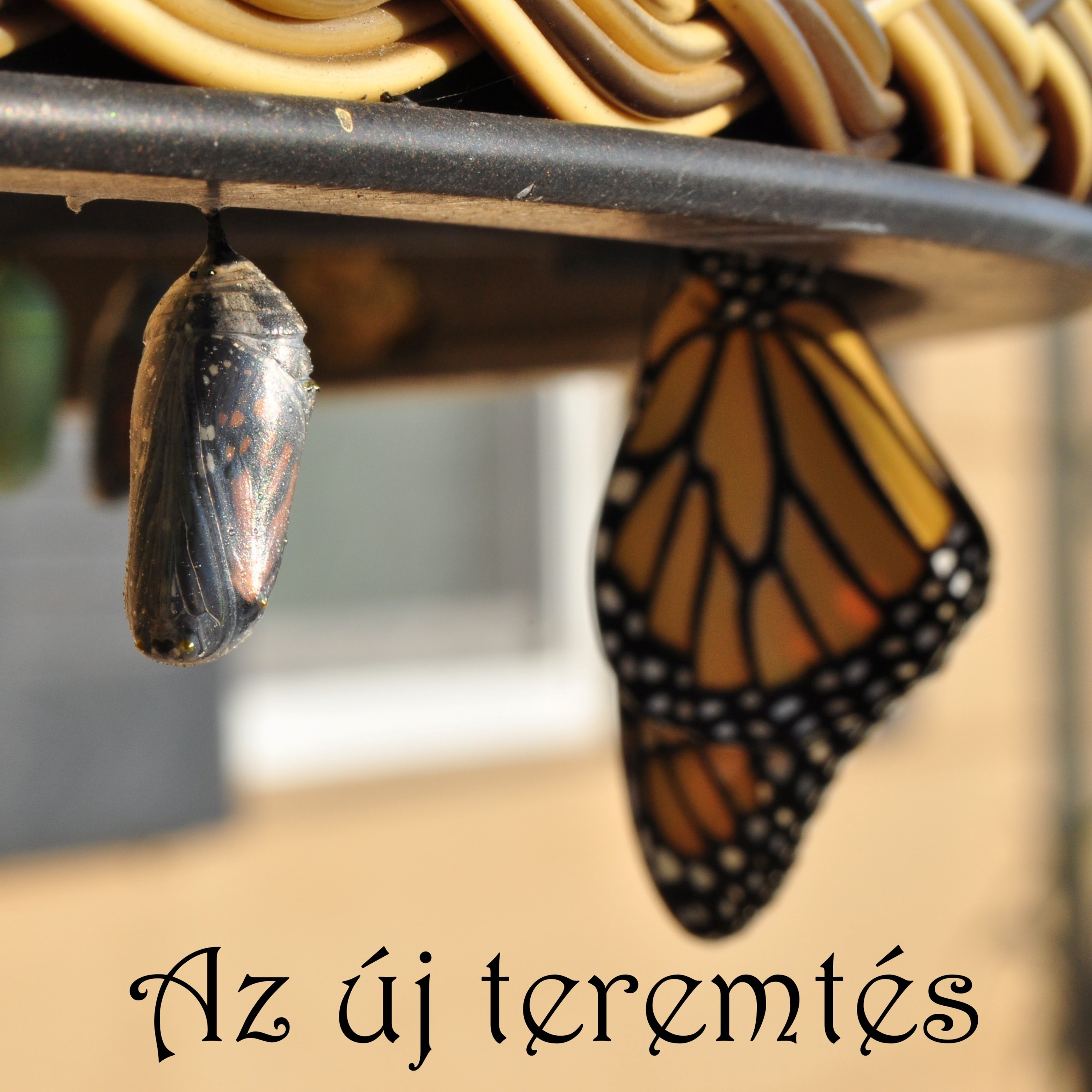 Az új teremtés - 2 Korintus 5:16-21 episode artwork