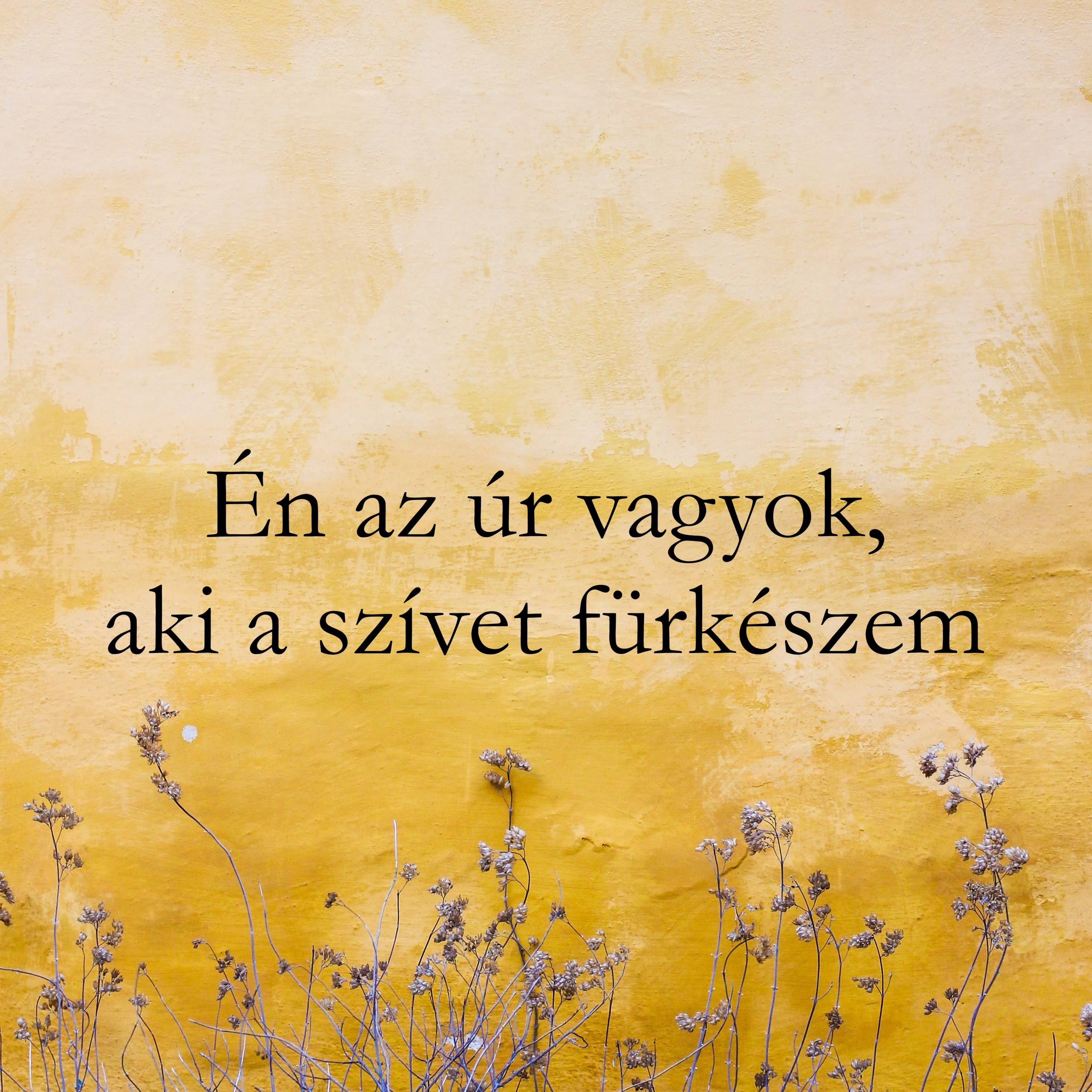 Én az Úr vagyok, aki a szívet fürkészem - Jeremiás 17:9-10 episode artwork