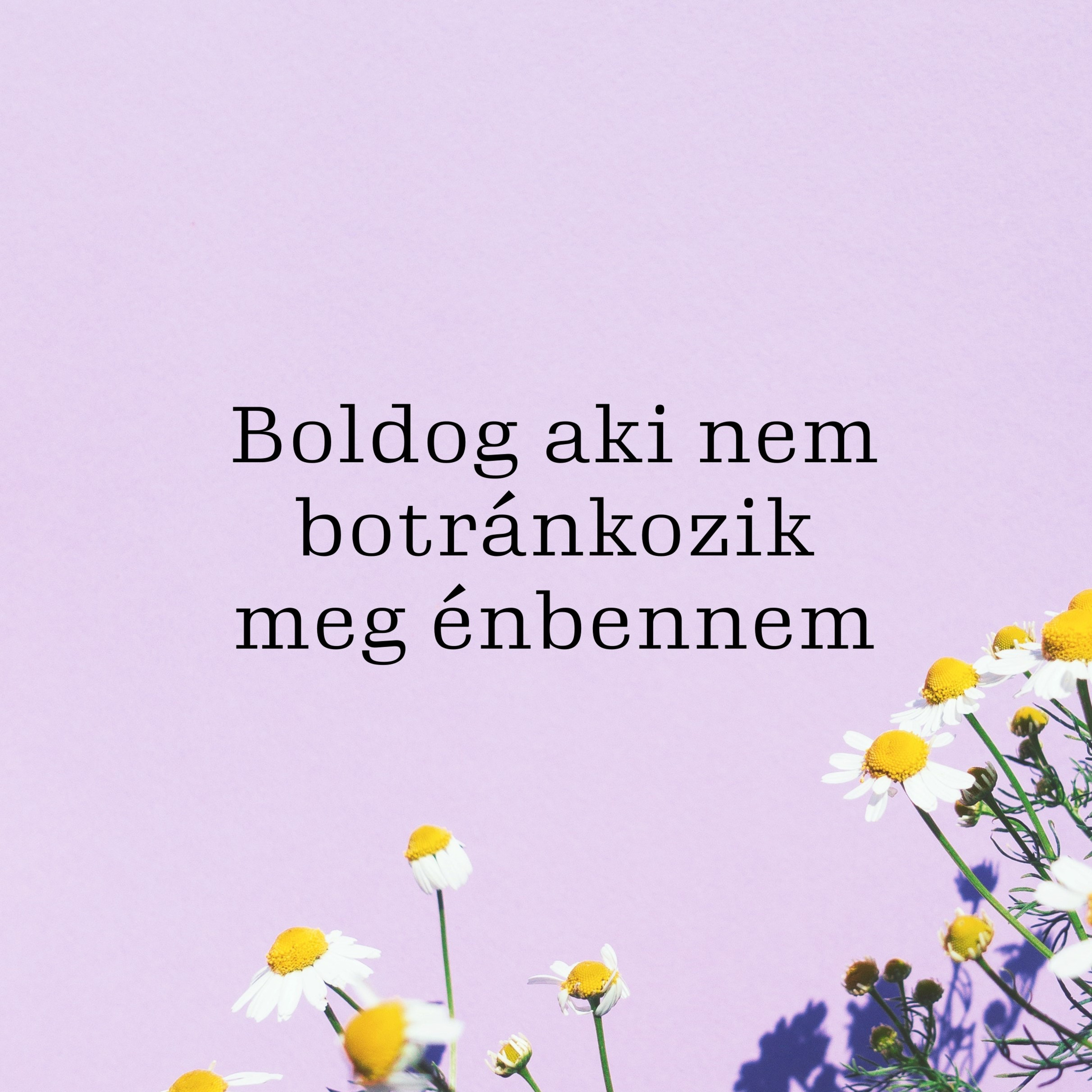 Boldog, aki nem botránkozik meg énbennem - Lukács 7:18-23 episode artwork