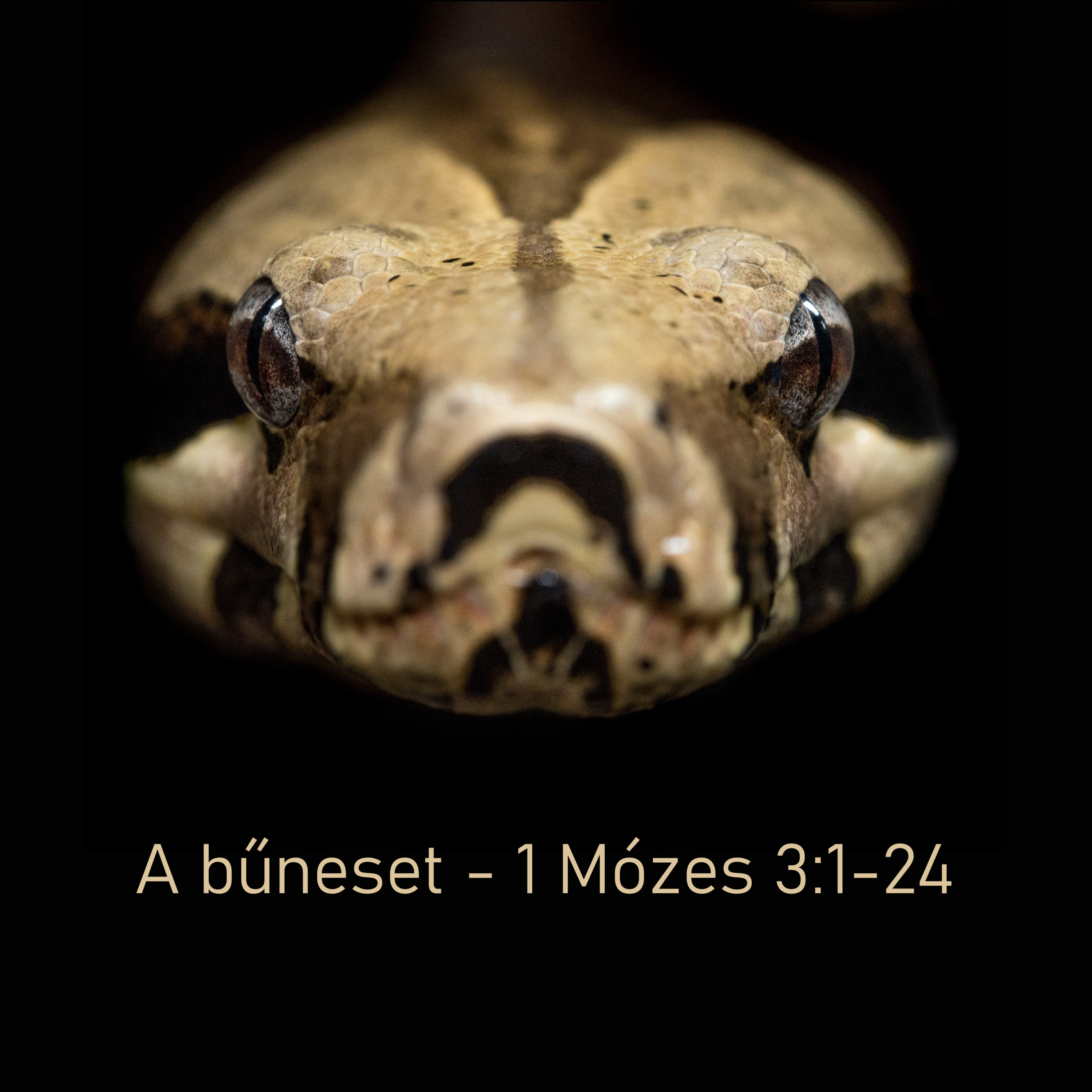 A bűneset - 1 Mózes 3:1-24 episode artwork