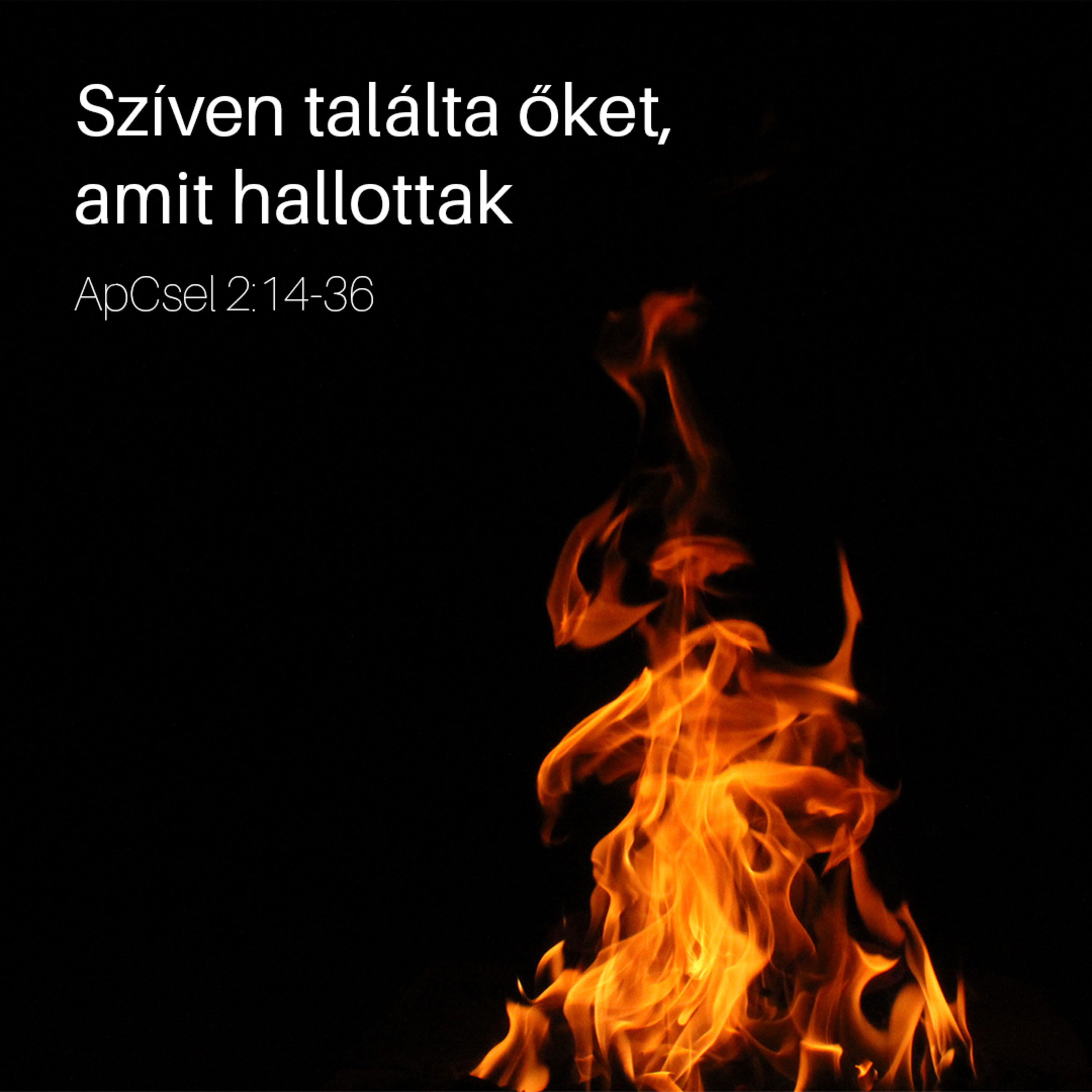Szíven találta őket, amit hallottak - ApCsel 2:14-36 episode artwork
