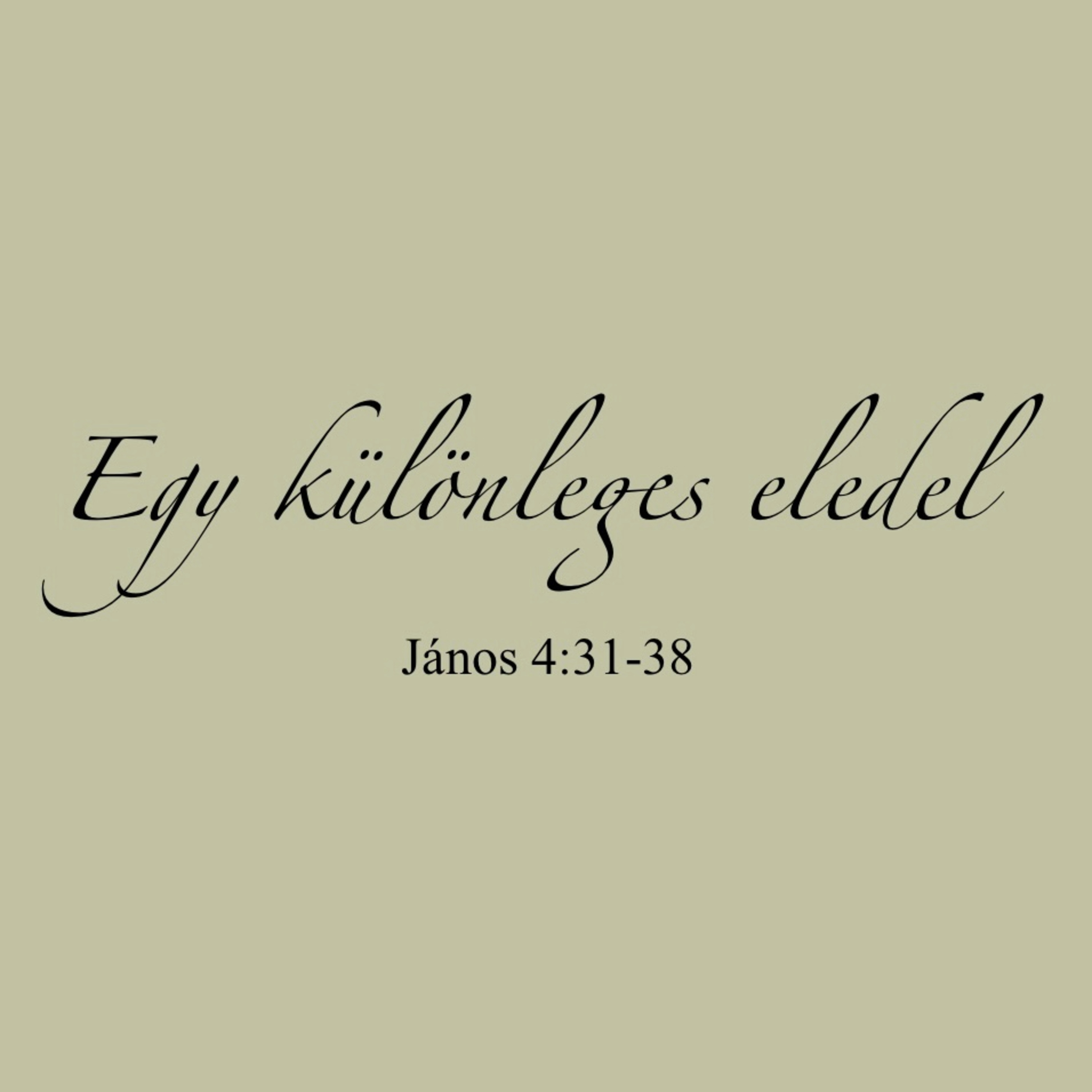 Egy különleges eledel - János 4:31-38 episode artwork
