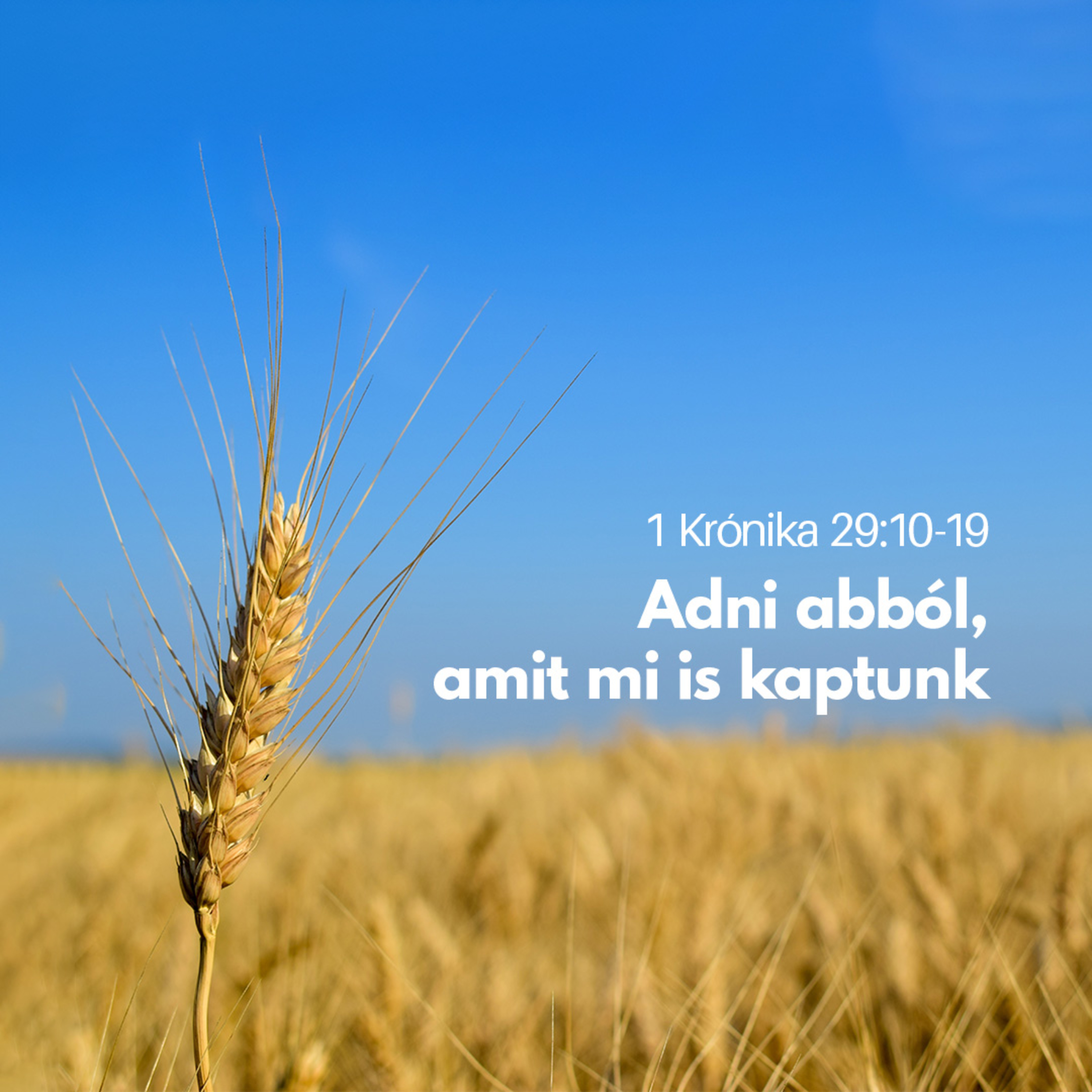Adni abból, amit mi is kaptunk - 1 Krónika 29:10-19 episode artwork