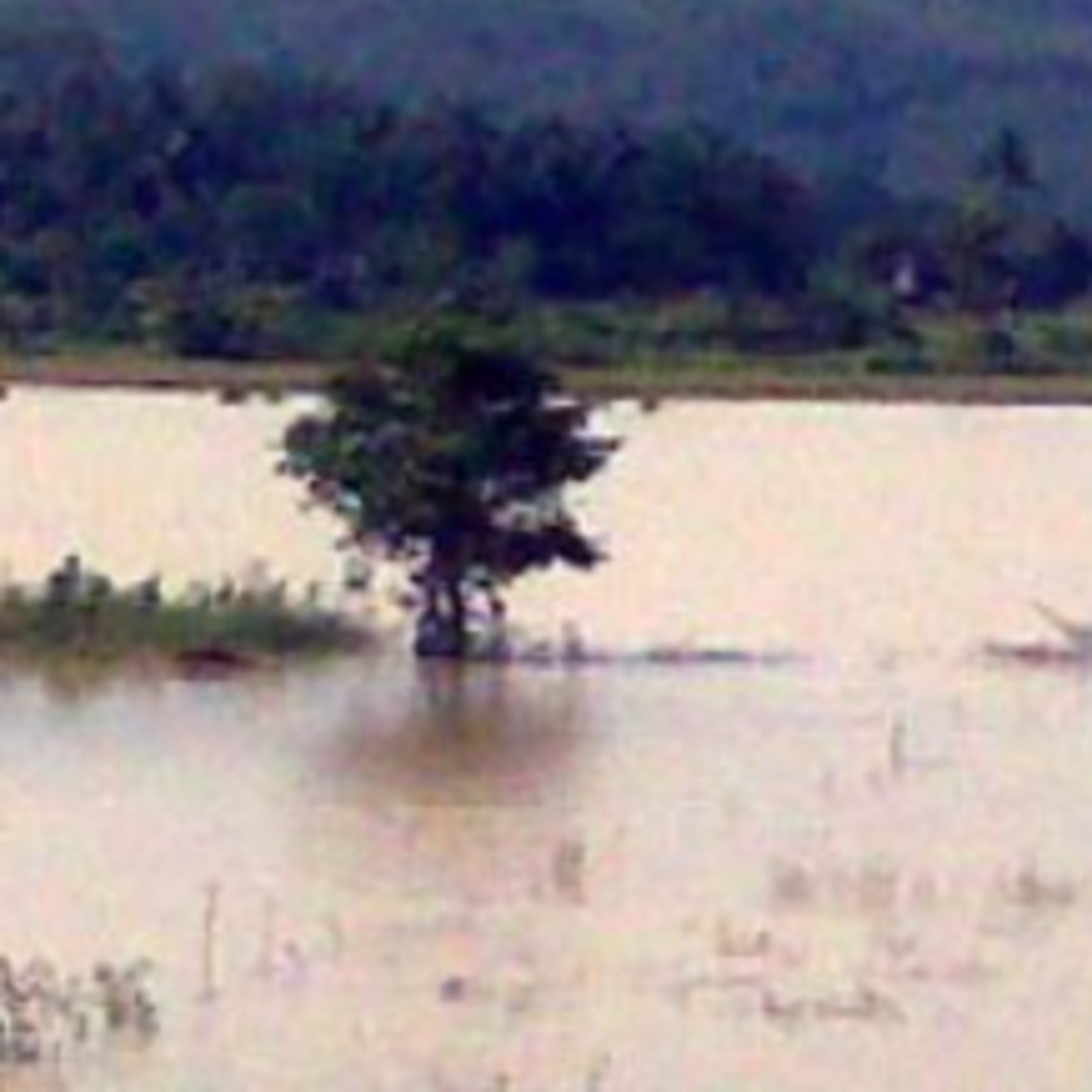 KILAS RADIO PRIANGAN