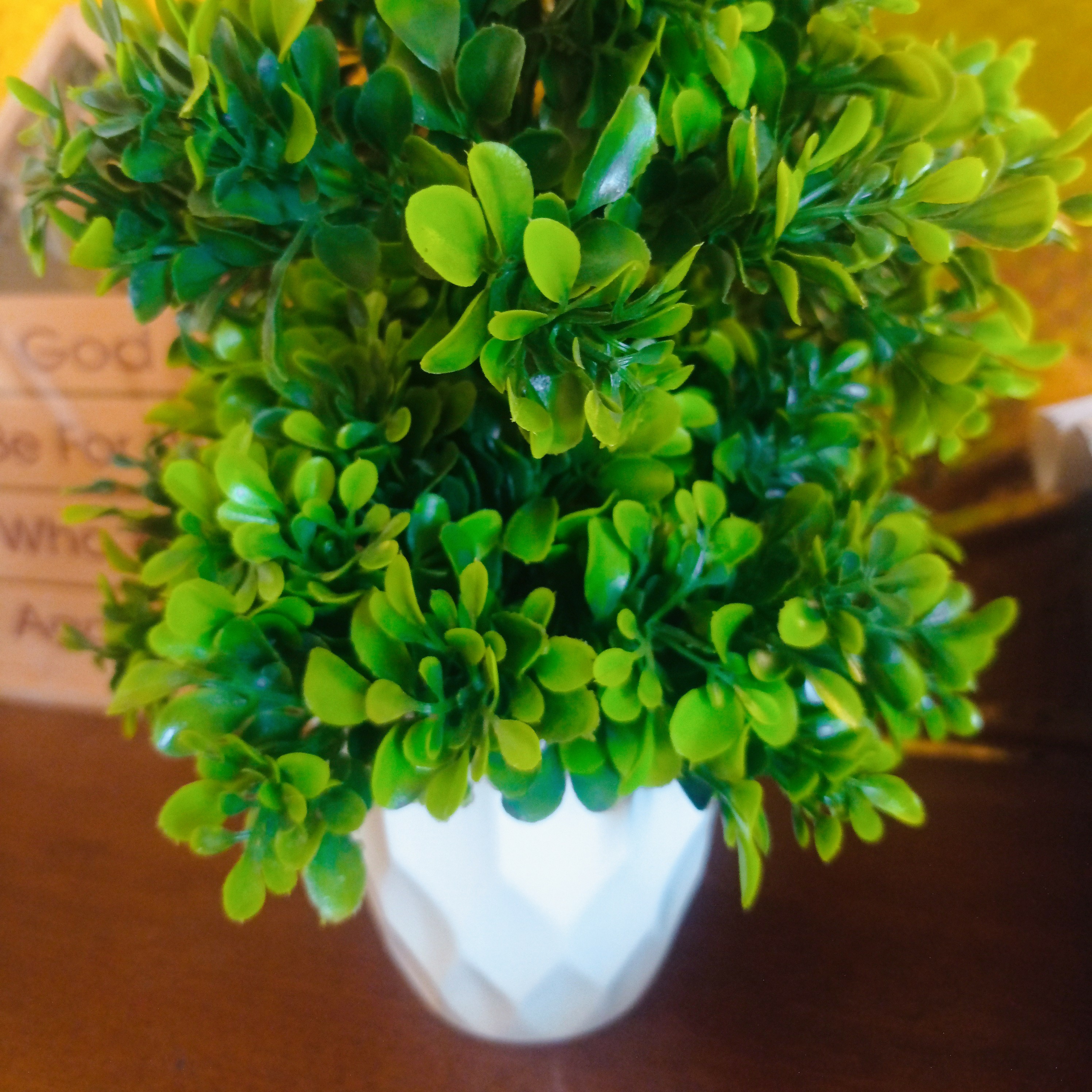 Your Creator loves you