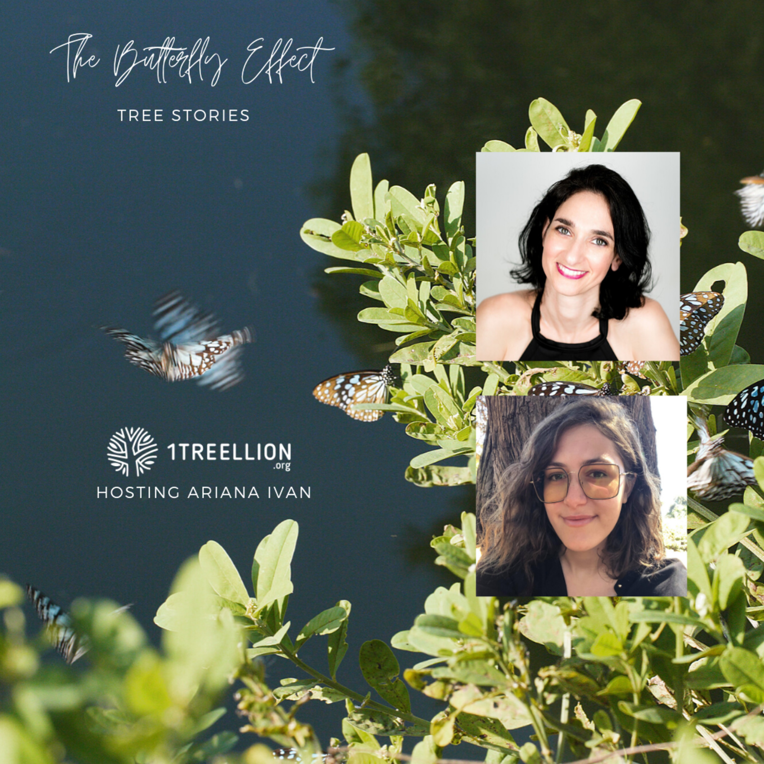 Episode 03 / The Butterfly Story of Saving Forests Hosting Ariana Ivan episode artwork