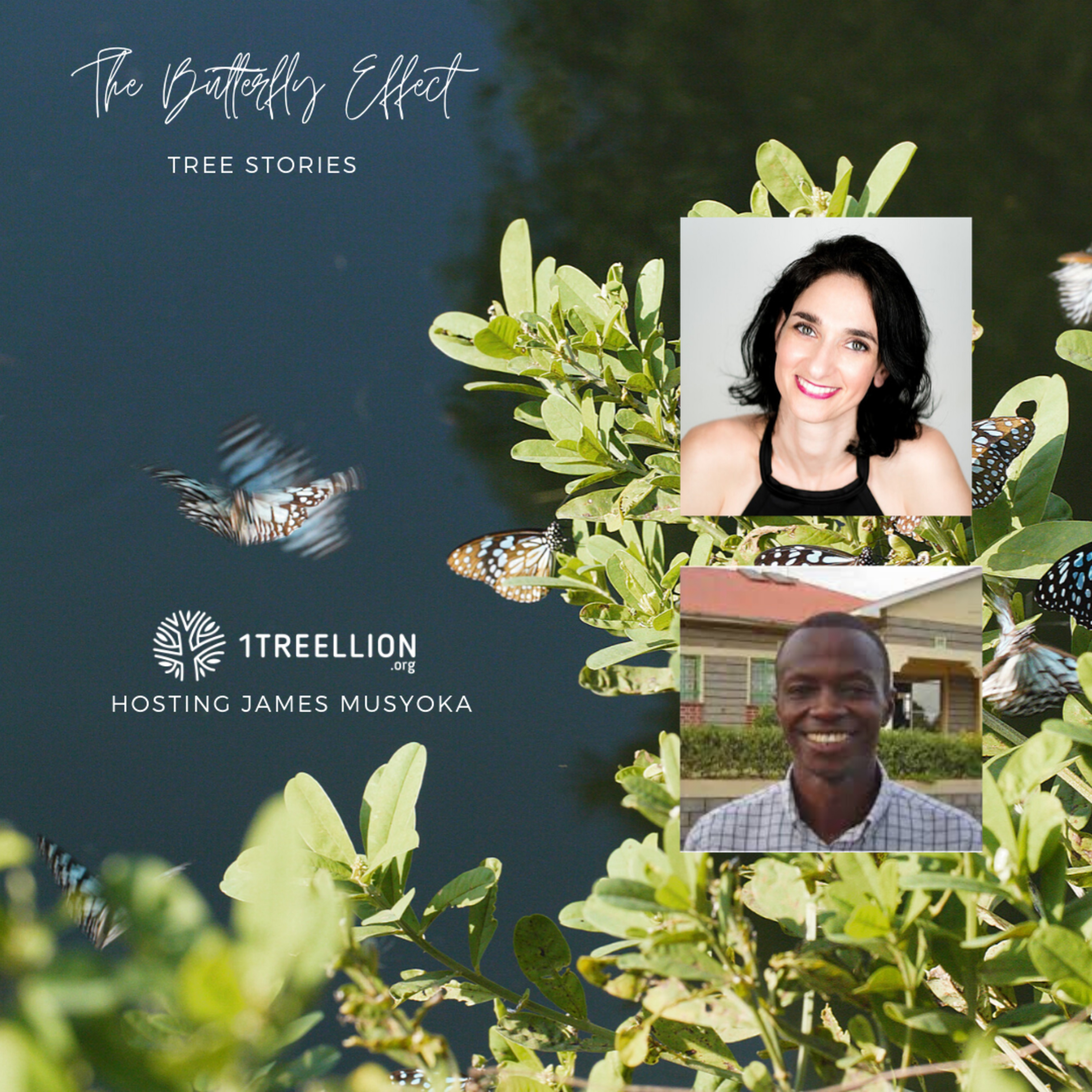 Episode 02 / The Butterfly Story of Planting in Kenya Hosting James Musyoka episode artwork