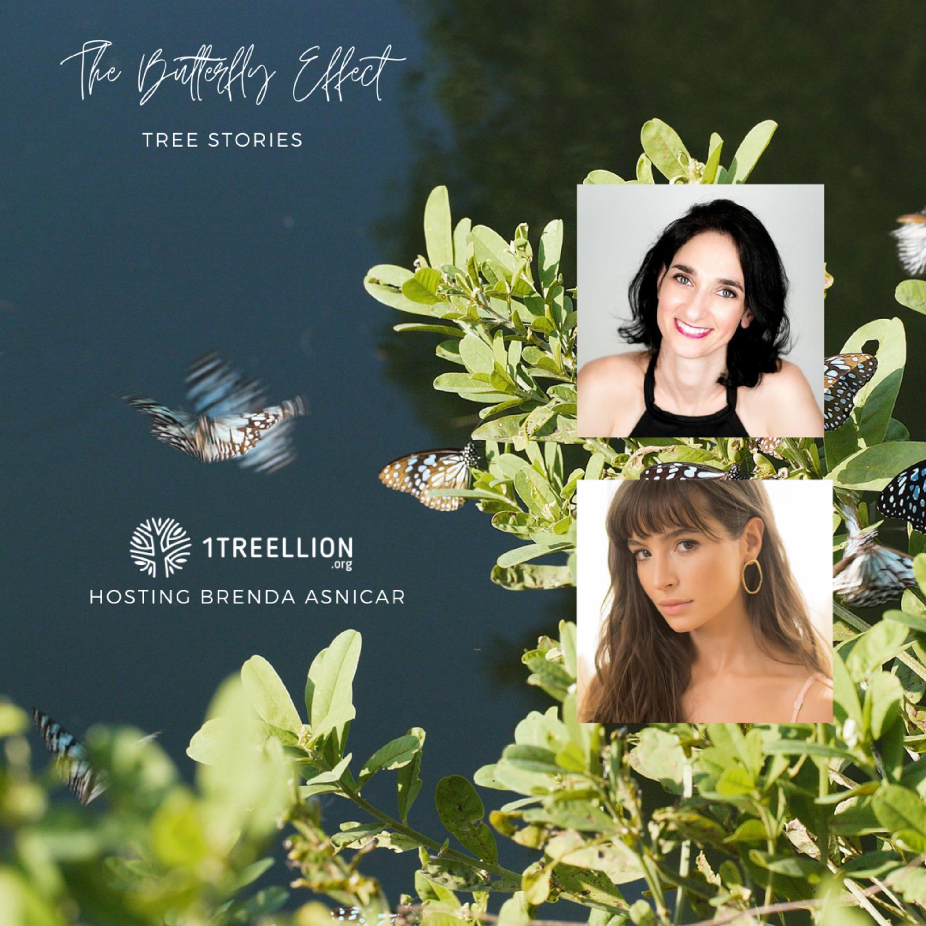 Episode 04 / The Butterfly Story of Planting a Forest Hosting Brenda Asnicar episode artwork