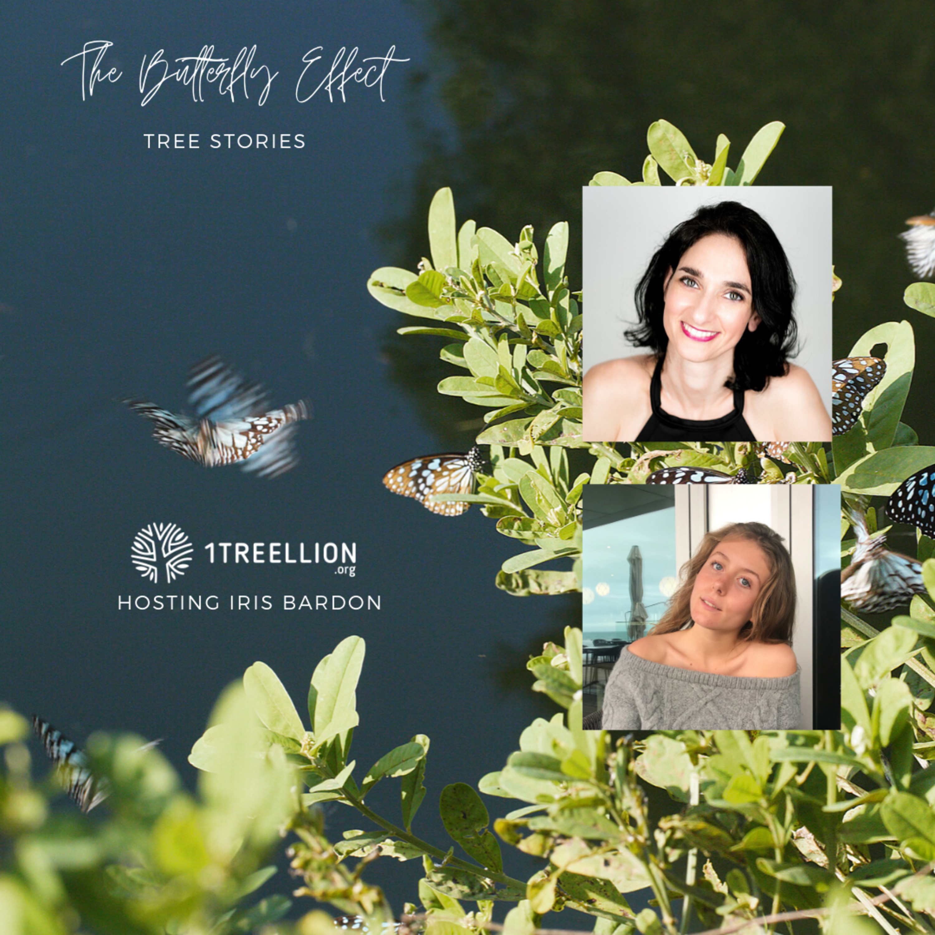 Episode 05 / The Butterfly Story of Environment Preservation Hosting Iris Bardon  episode artwork