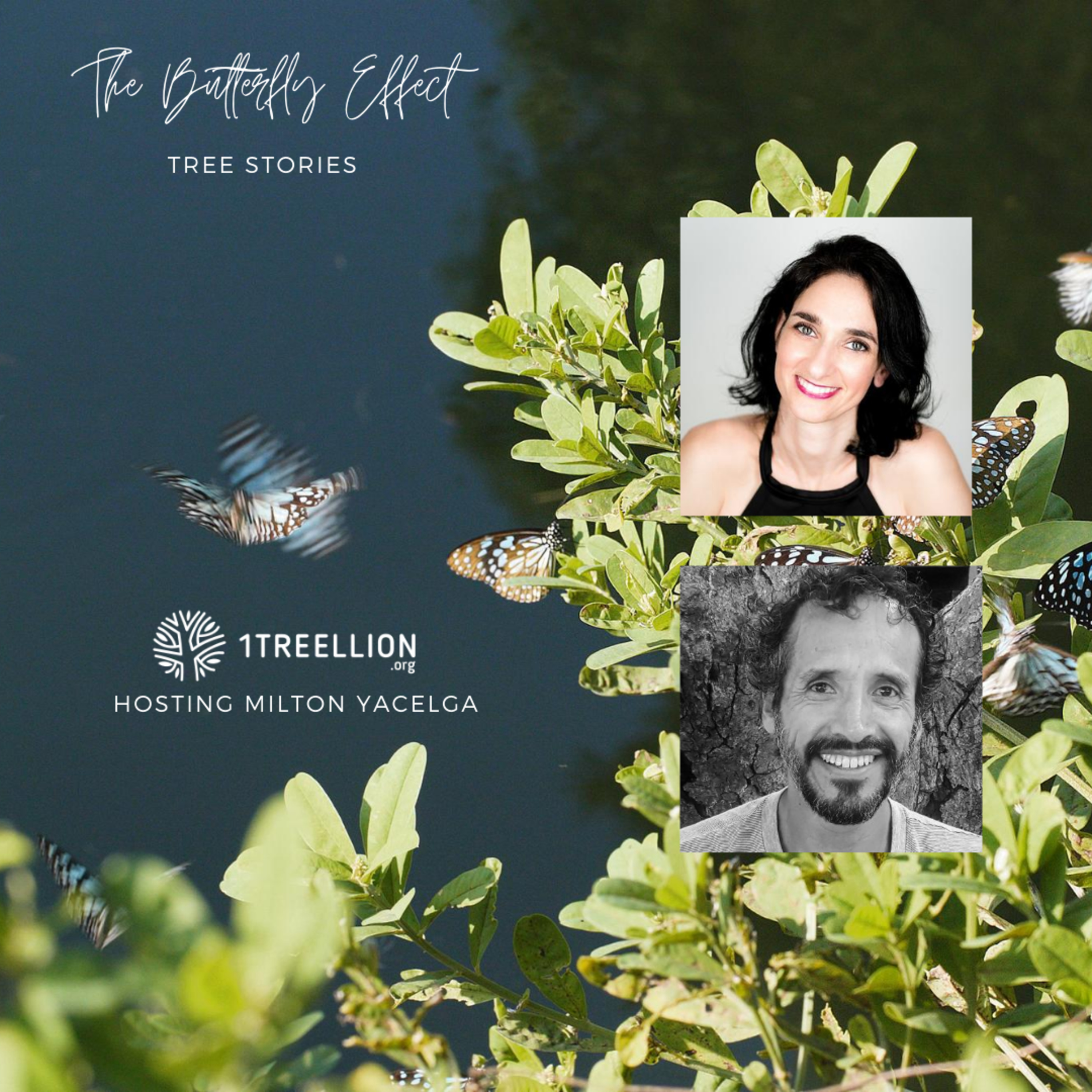 Episode 06 / The Butterfly Story of Jaguars and the Jungle Hosting Milton Yacelga episode artwork