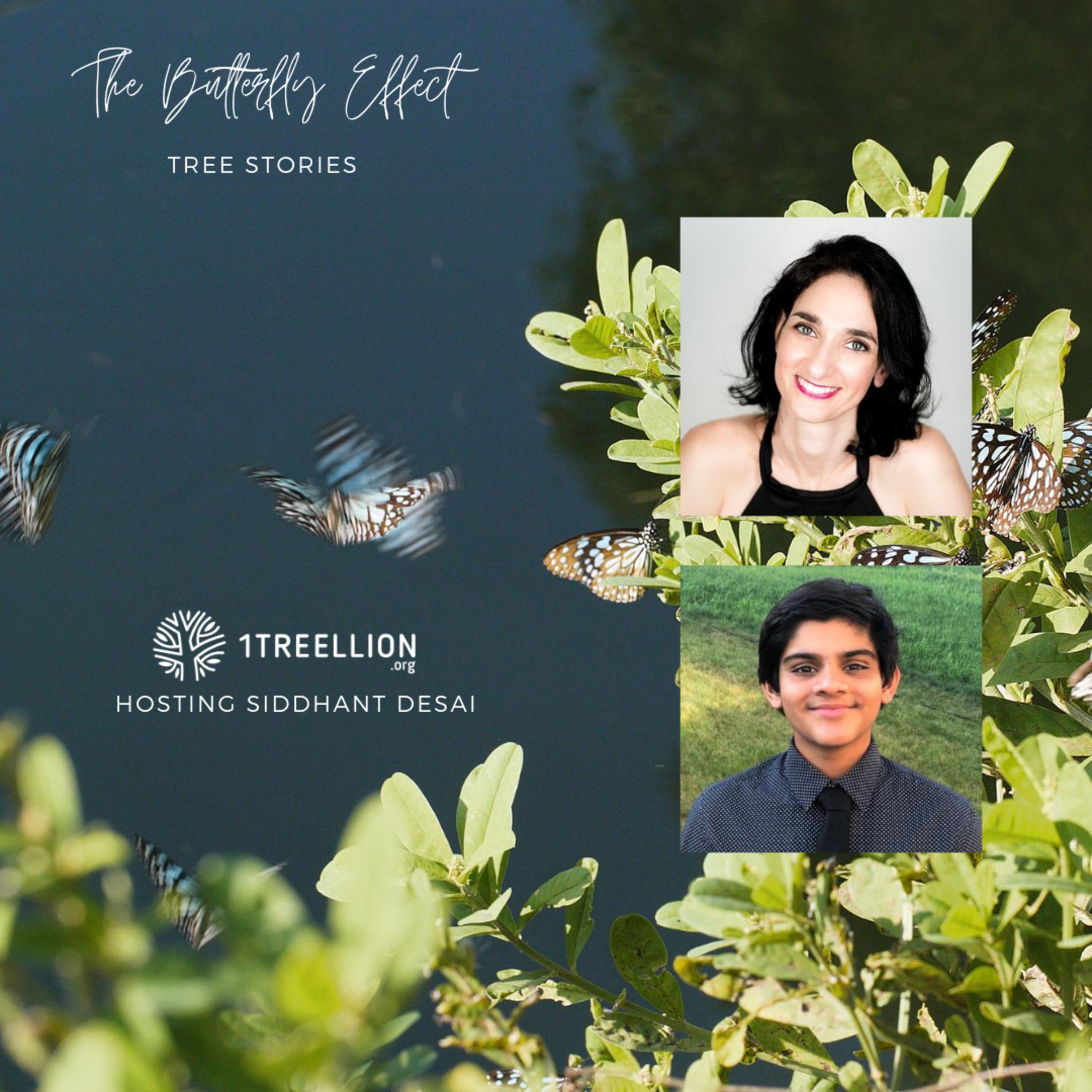 Episode 08 / The Butterfly Story of AI and Trees Hosting Siddhant Desai episode artwork
