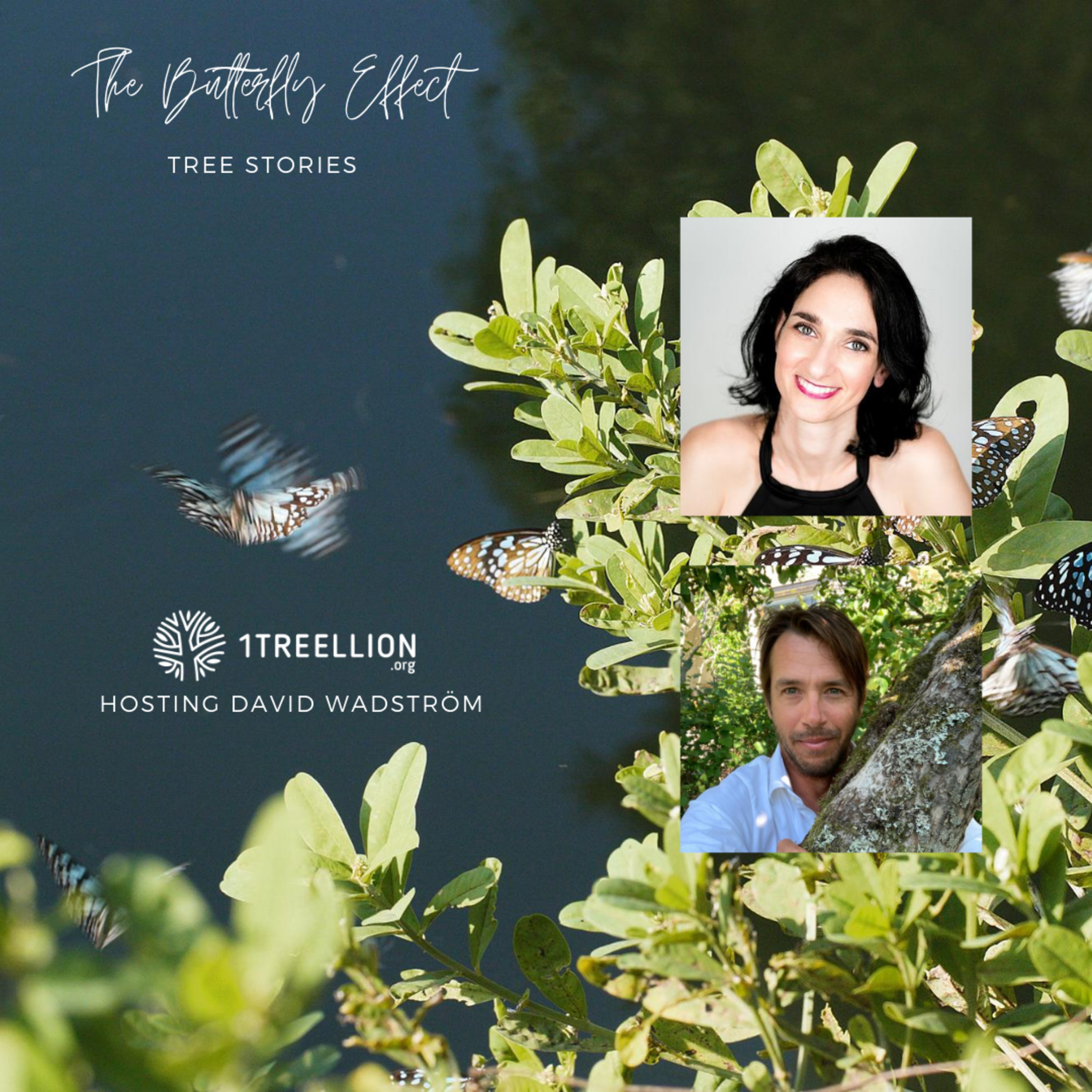 Episode 11 / The Butterfly Story of Clean Water Hosting David Wadström episode artwork