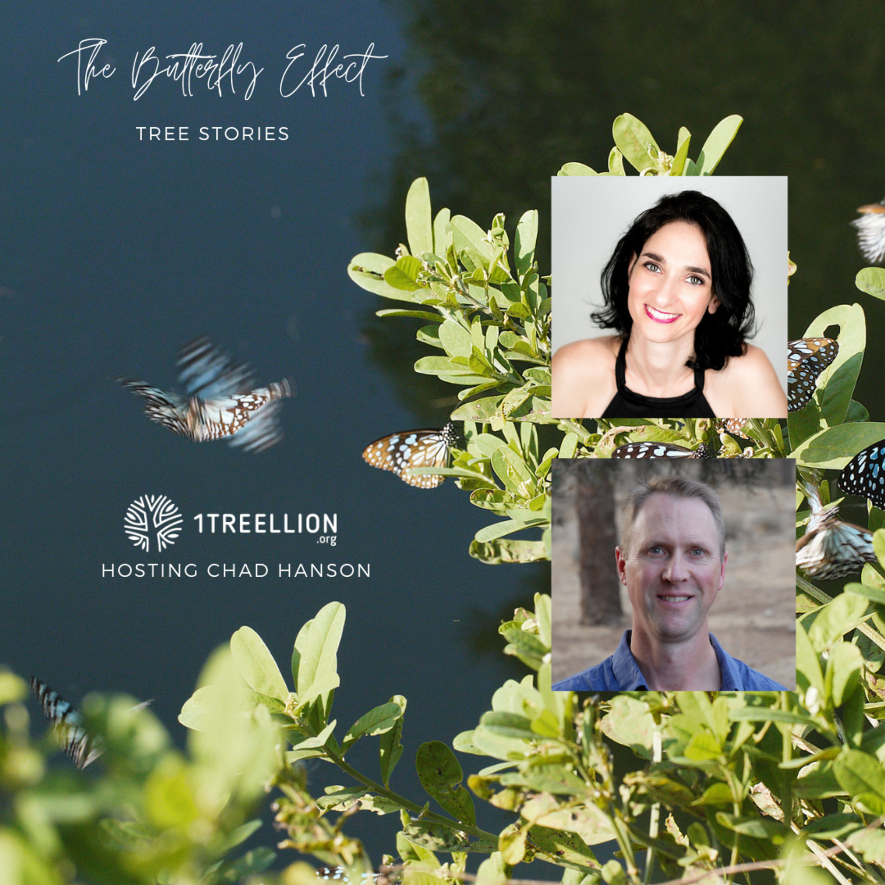 Episode 07 / The Butterfly Story of Fires and Trees Hosting Chad Hanson episode artwork