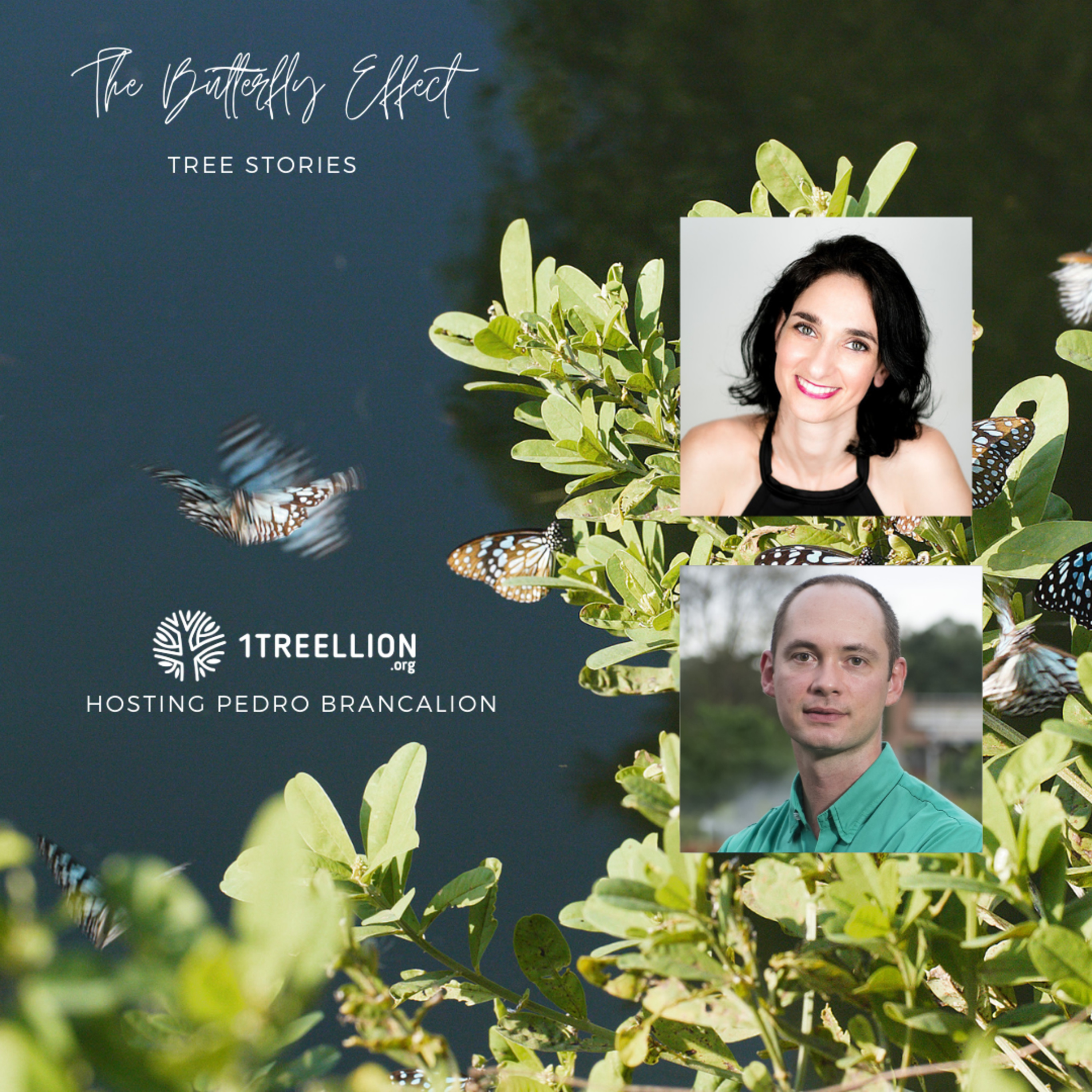 Episode 10 / The Butterfly Story of ecosystem restoration Hosting Prof. Pedro H.S. Brancalion episode artwork