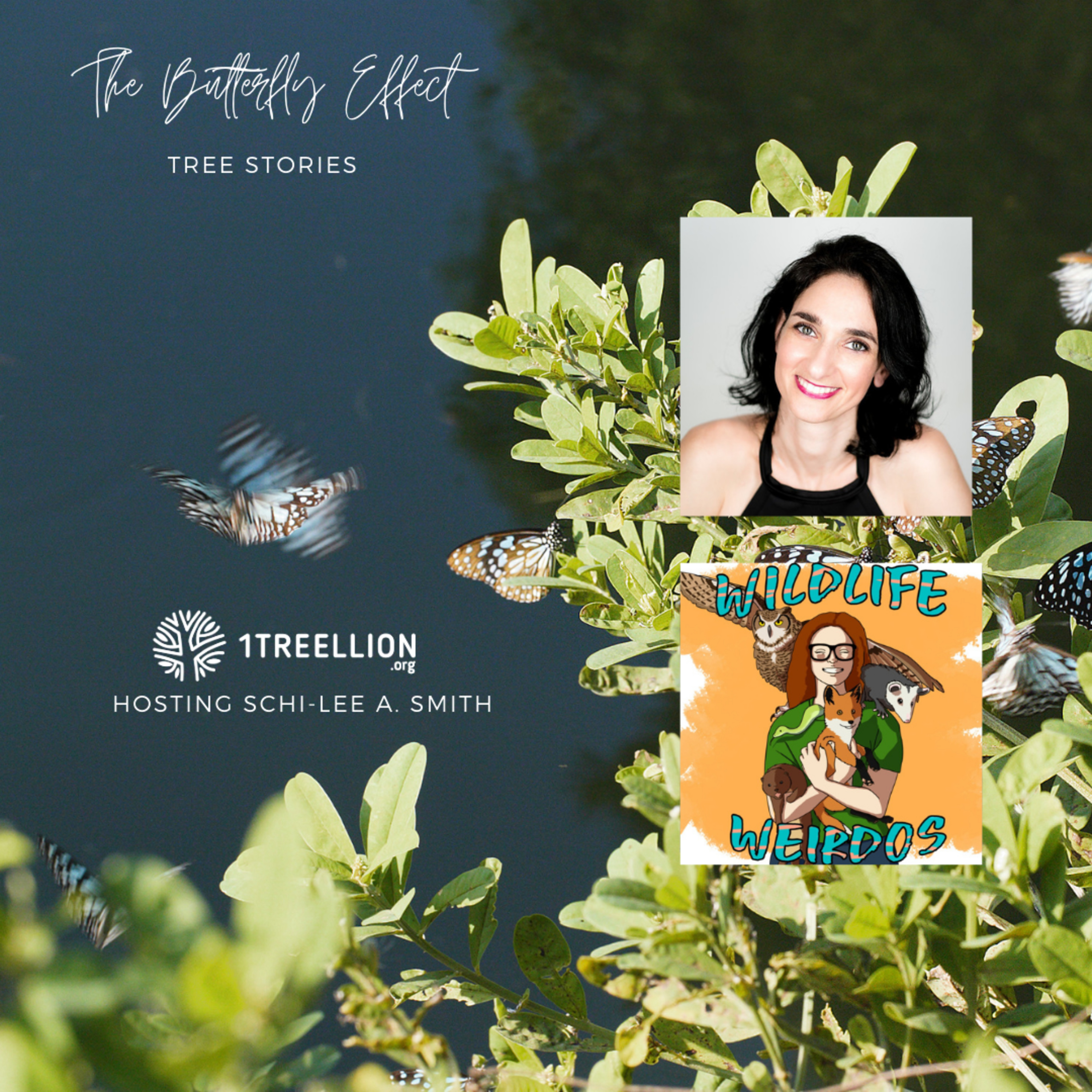 Episode 17 / The Butterfly Story of Butterflies and the Rainforest Hosting Schi-Lee Smith from Wildlife Weirdos episode artwork