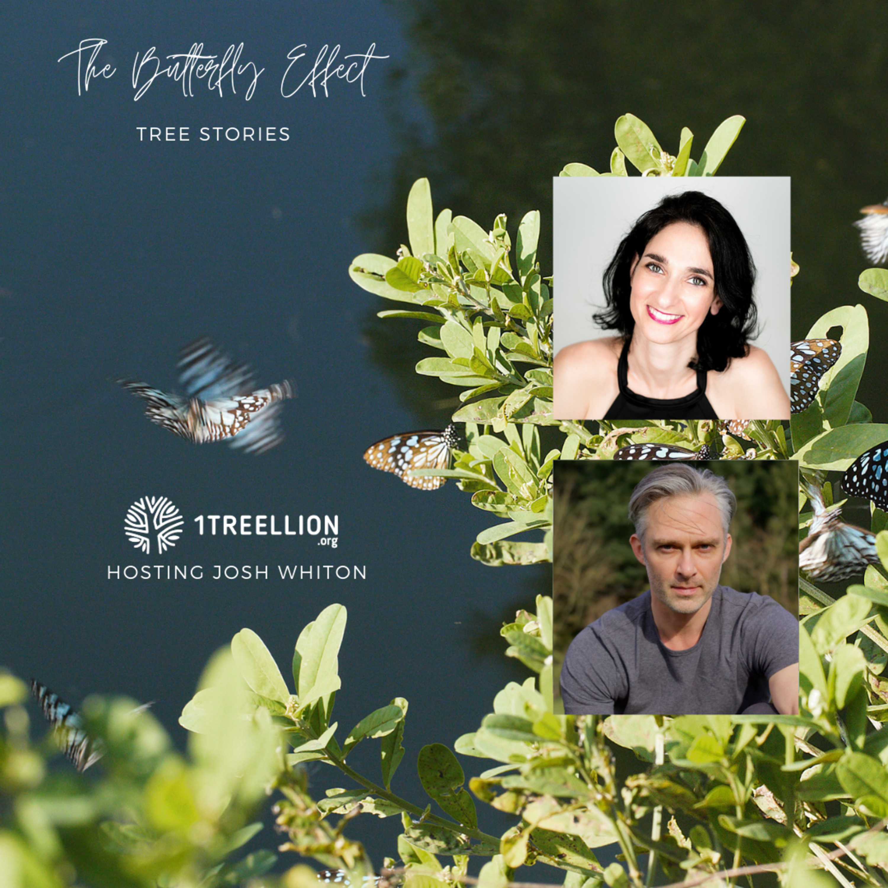 Episode 18 / The Butterfly Story of Composting and Making Soil Hosting Josh Whiton episode artwork