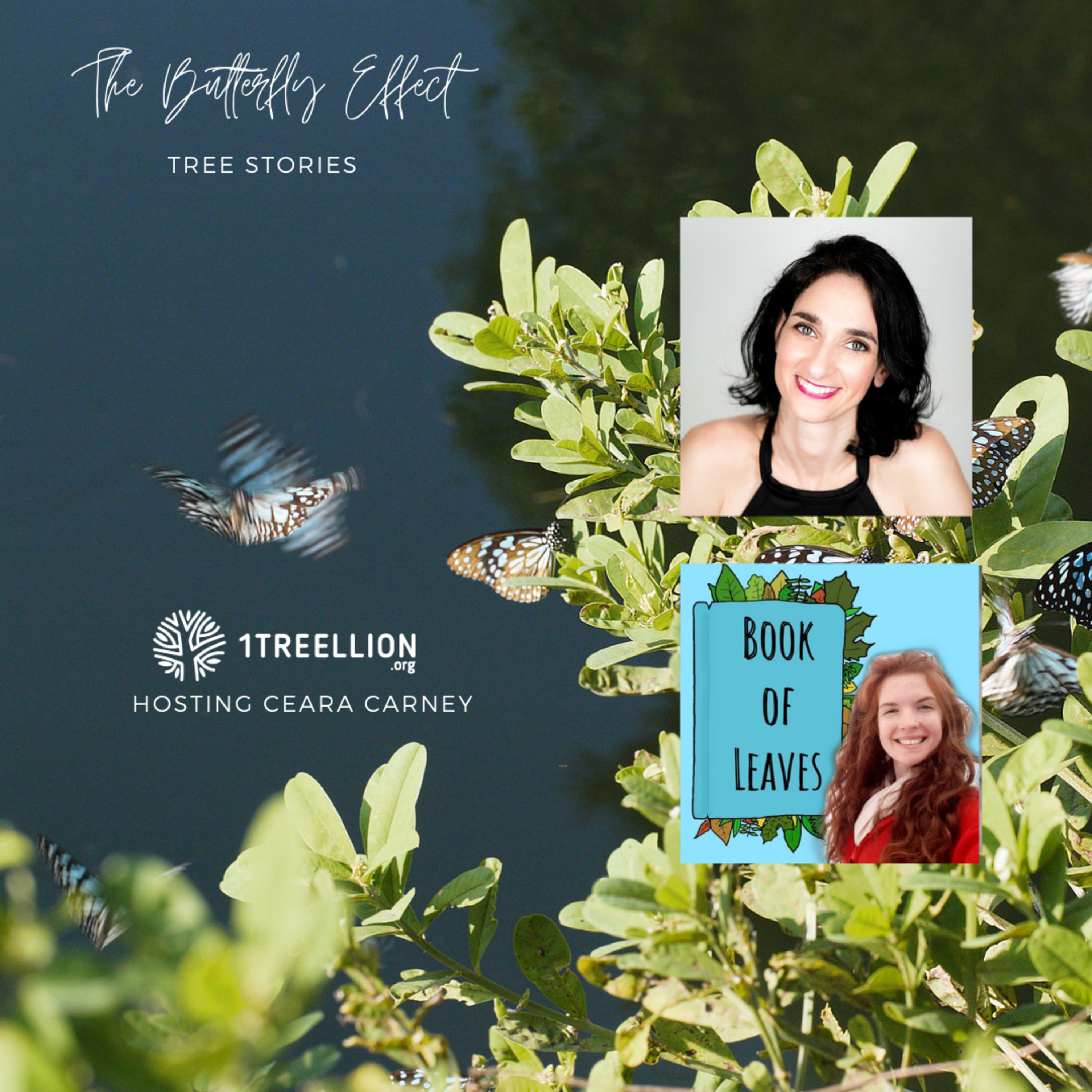 Episode 21 / The Butterfly Story of The Fairy Tree and Ireland Folklore Hosting Ceara Carney  episode artwork