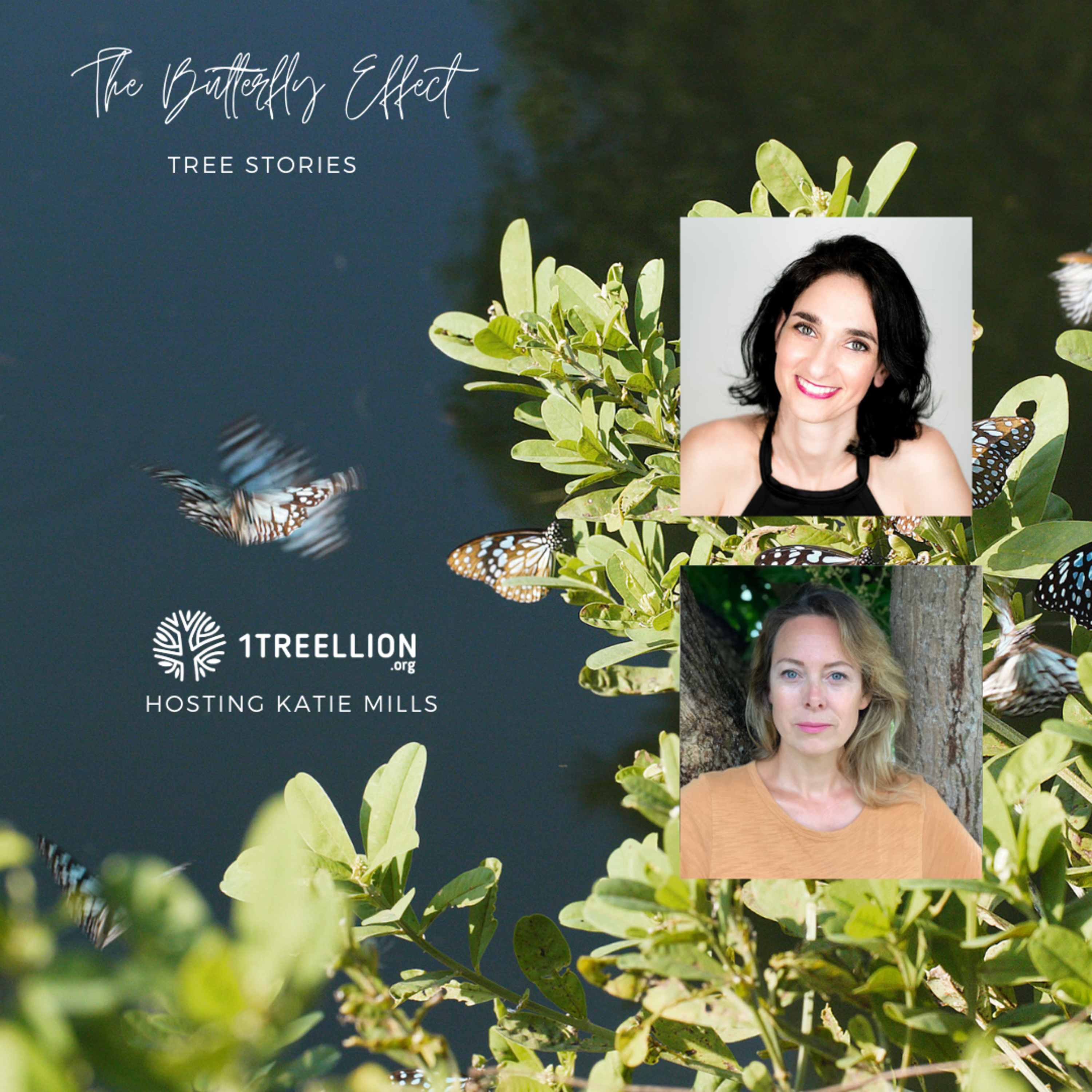 Episode 19 / The Butterfly Story of Forest Bathing Hosting Katie Mills episode artwork