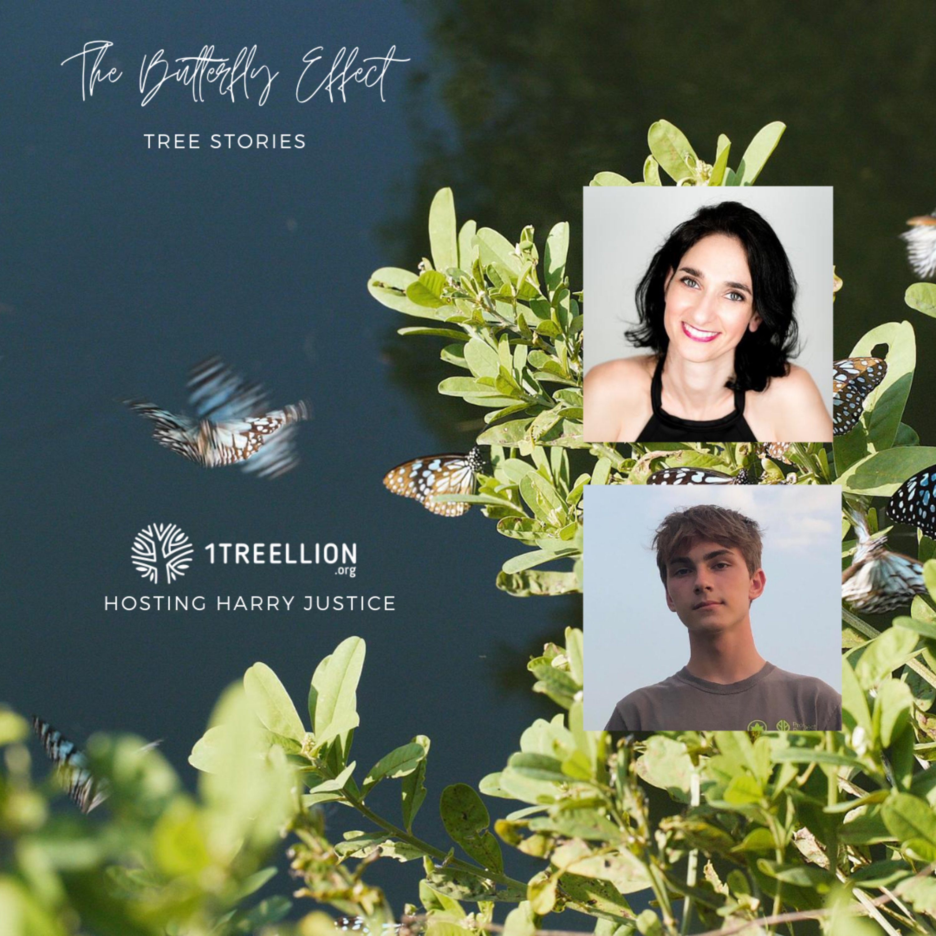Episode 22 / The Butterfly Story of Environmental Justice Hosting Harry Justice episode artwork