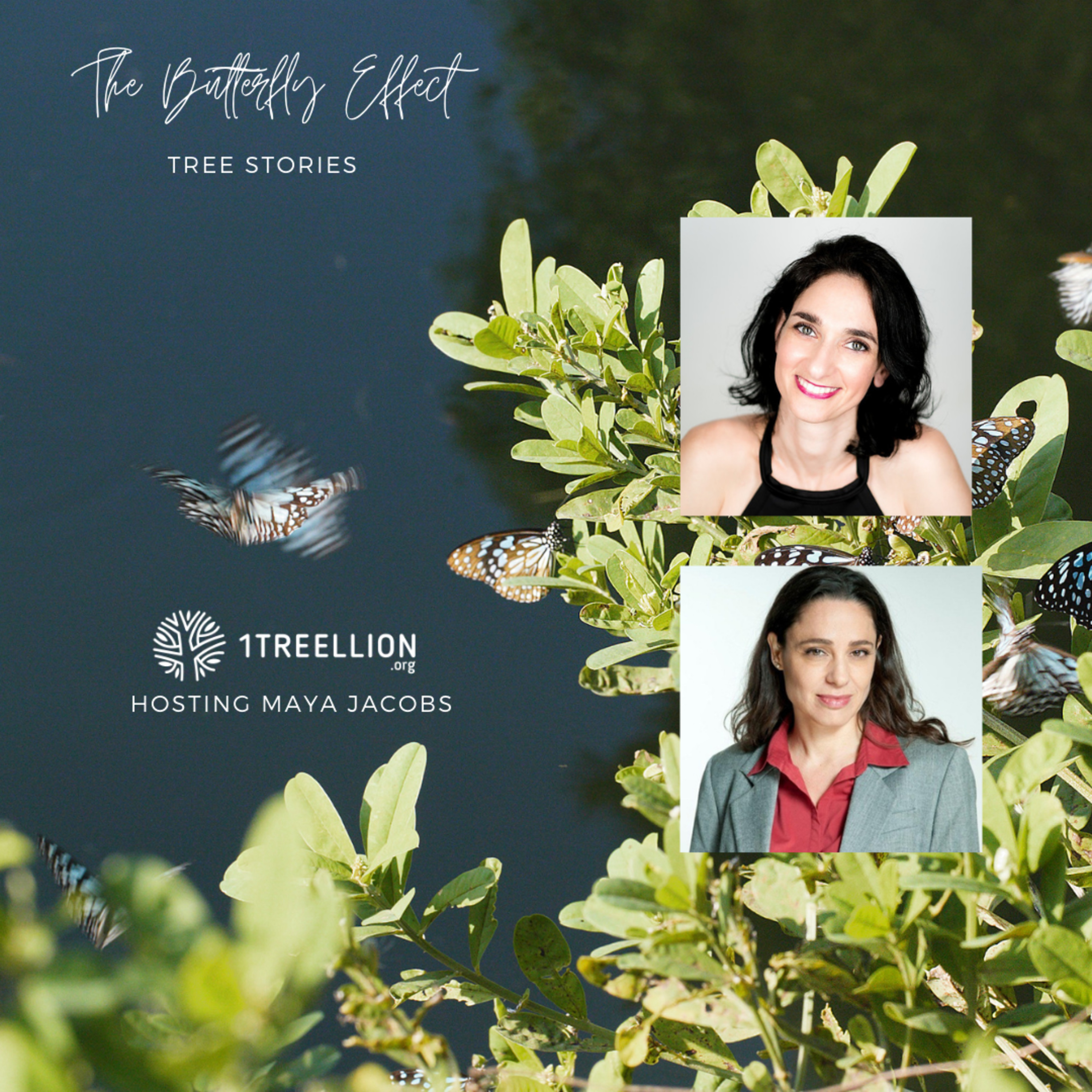 Episode 26 / The Butterfly Story of Water Preservation Hosting Maya Jacobs episode artwork