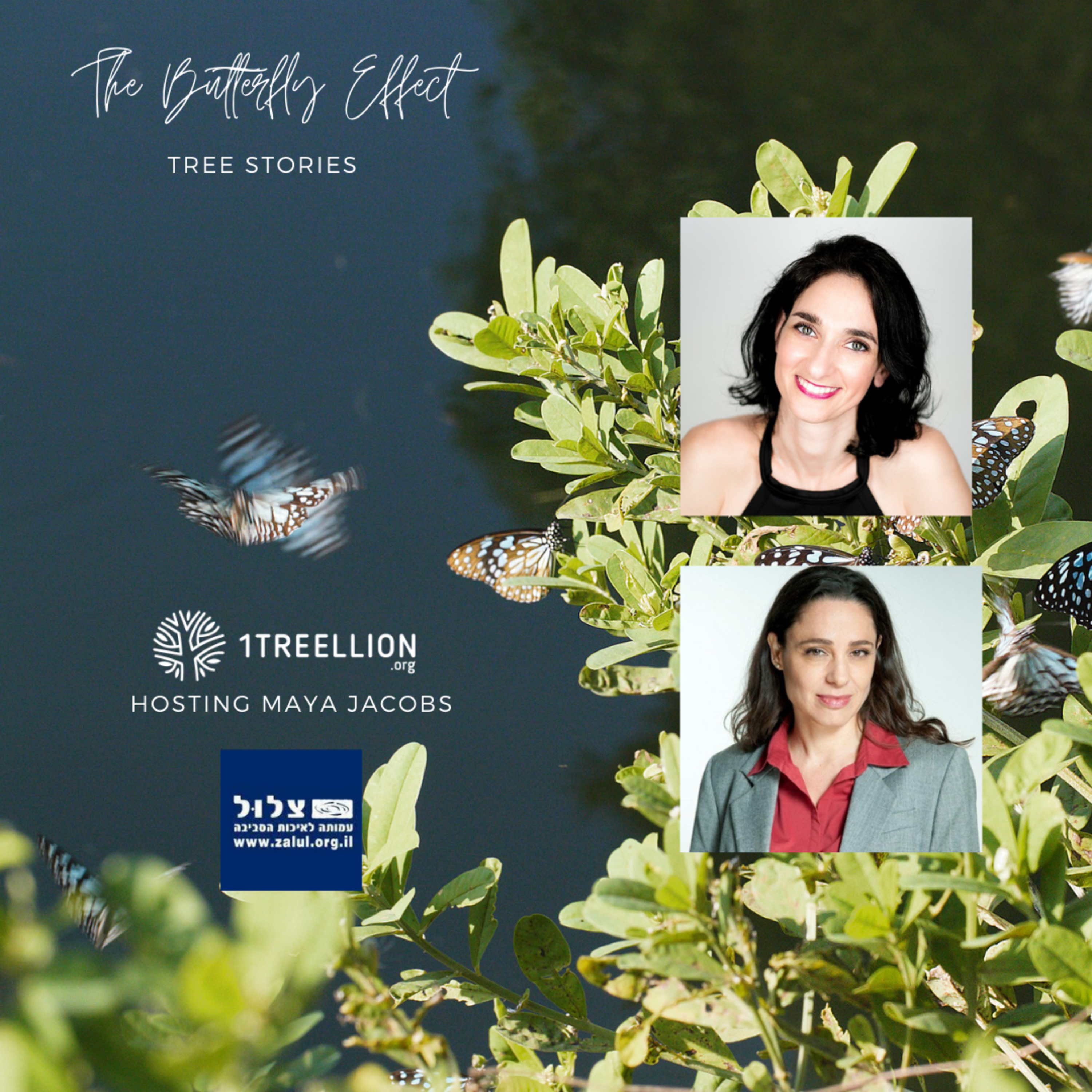Bonus Episode! פרק בונוס #29 / The Butterfly Story of Water Preservation Hosting Maya Jacobs שומרת המים והסביבה מאיה יעקבס episode artwork