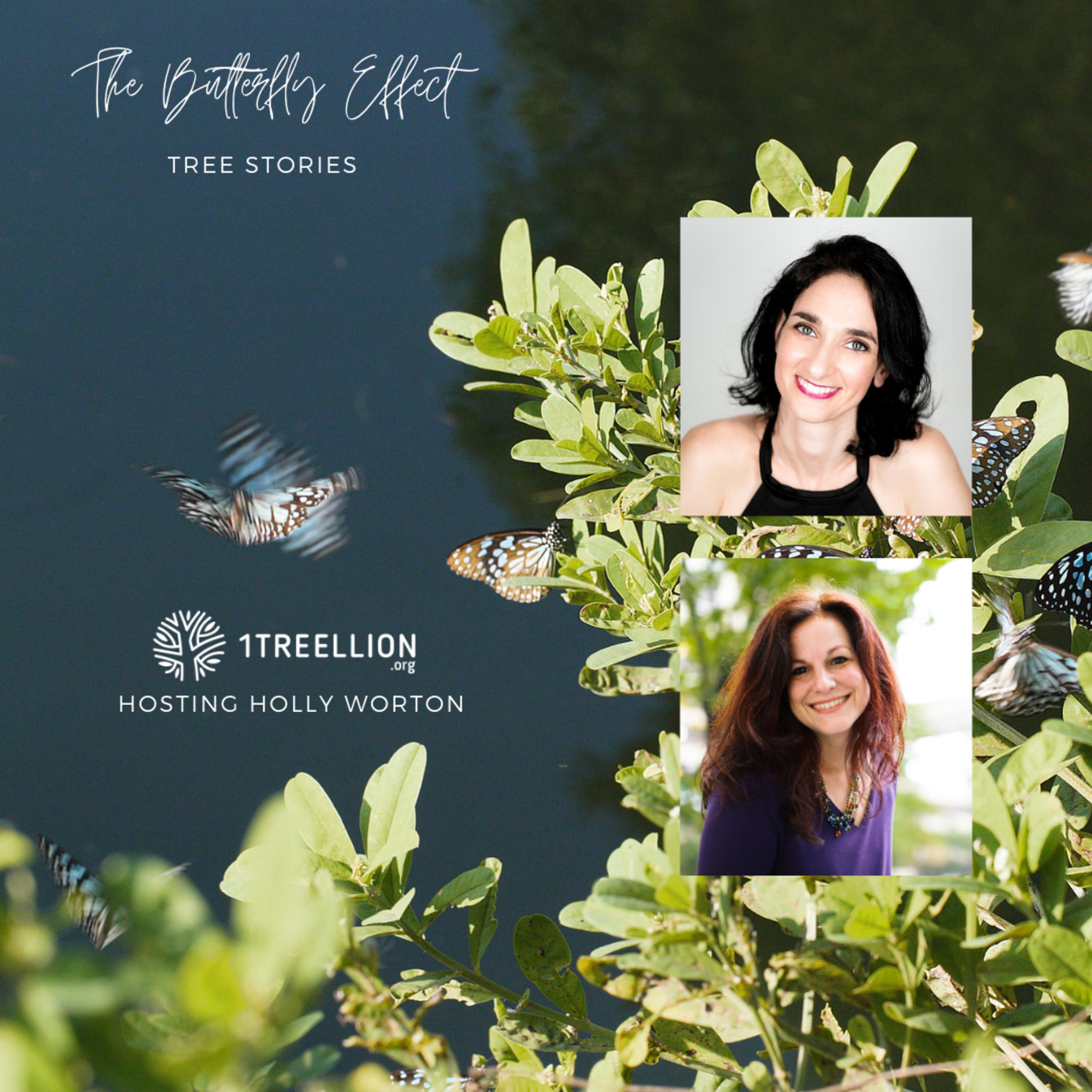 Episode 30 / The Butterfly Story of Trees' Stories Hosting Holly Worton episode artwork