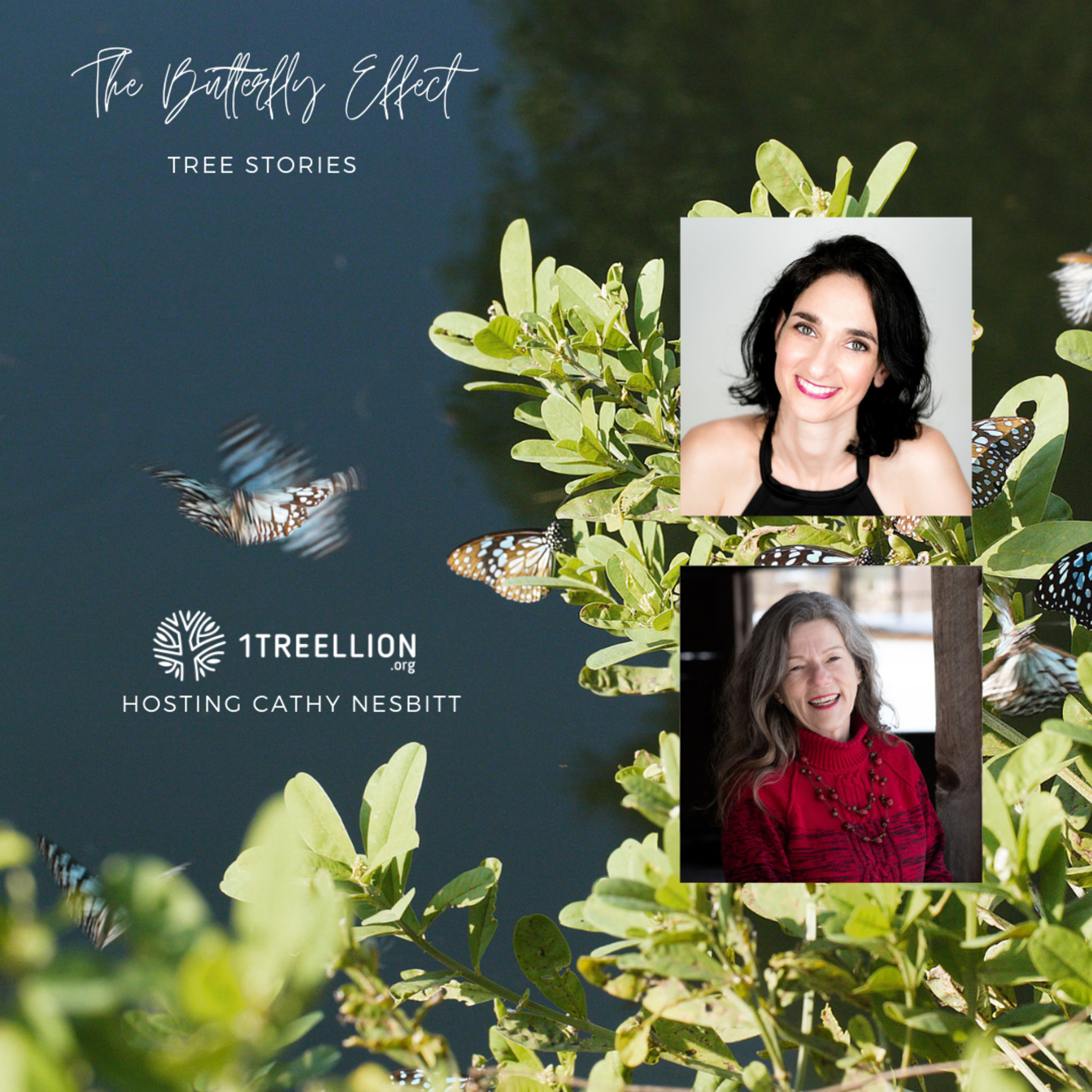 Episode 32 / The Butterfly Story of Worms and Garbage Management Hosting Cathy Nesbitt episode artwork