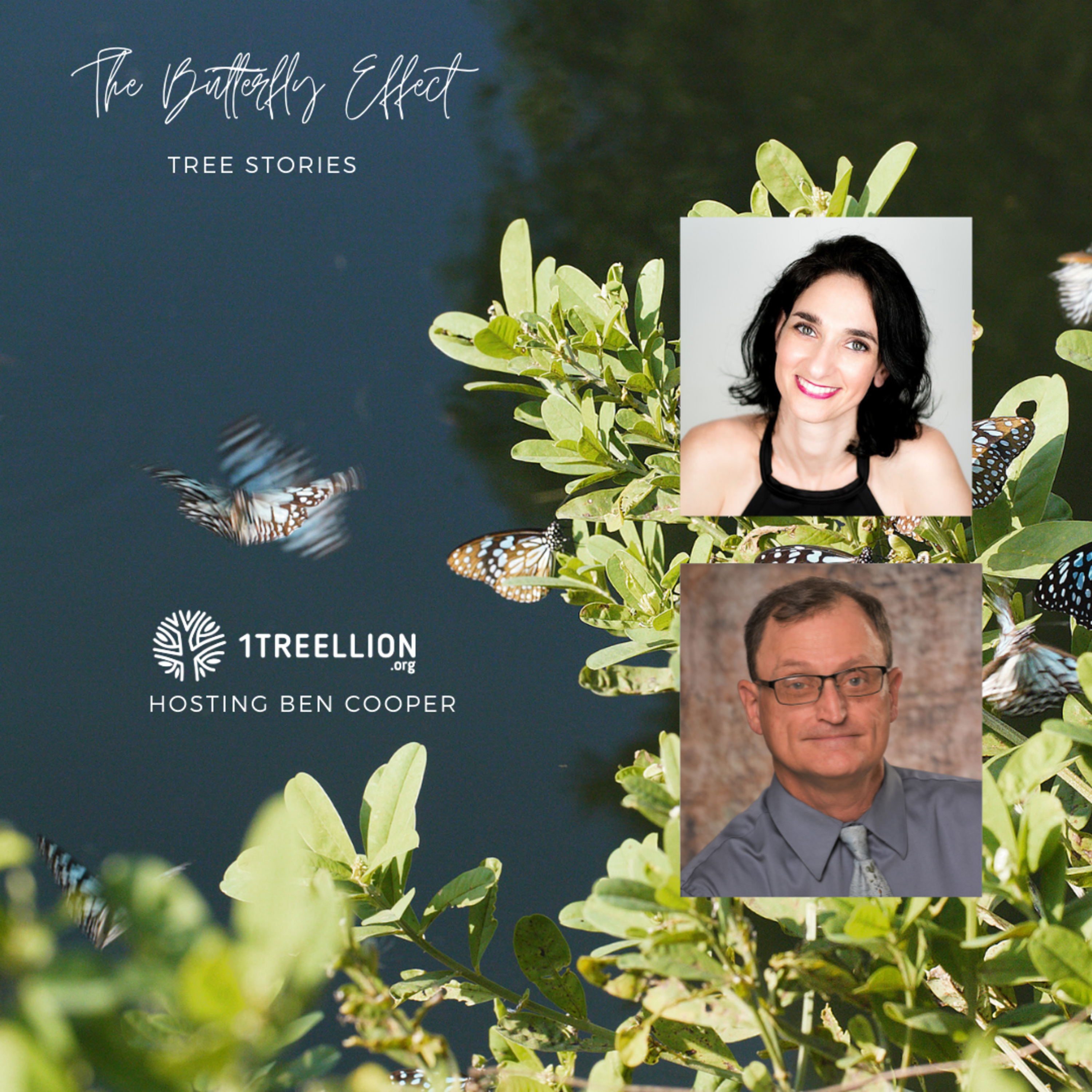 Episode 33 / The Butterfly Story of Agriculture and Bees Hosting Ben Cooper episode artwork