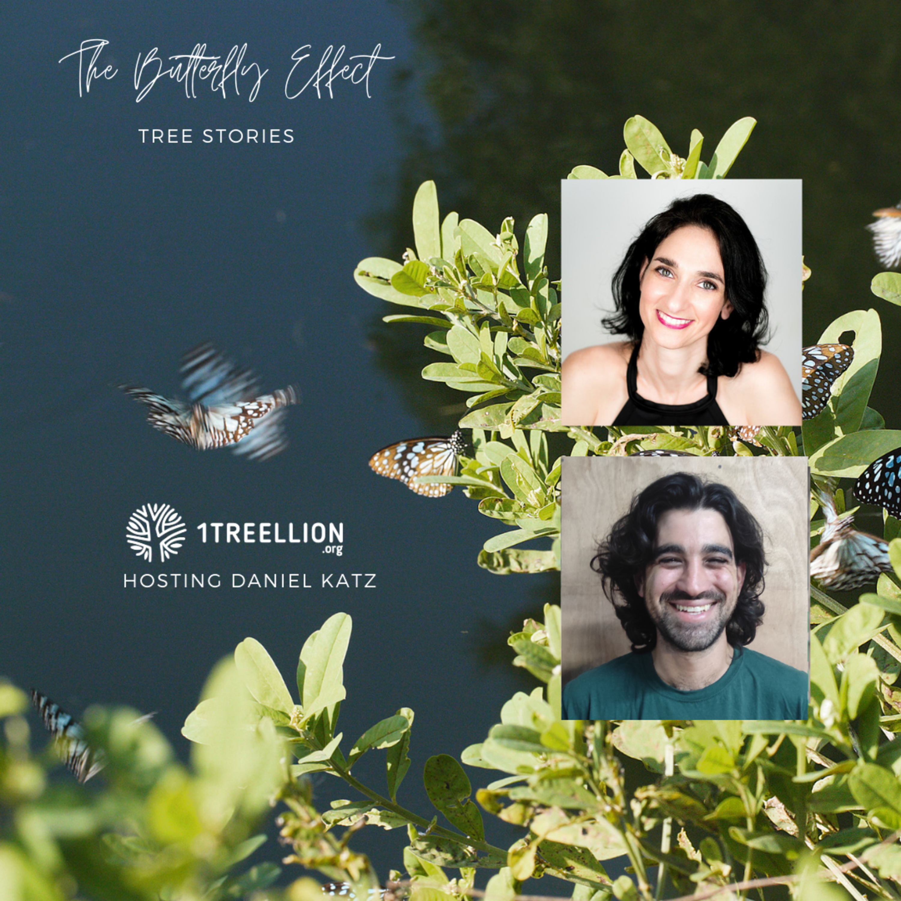 Episode 51 / The Butterfly Story of Urban Forests Hosting Daniel Katz episode artwork
