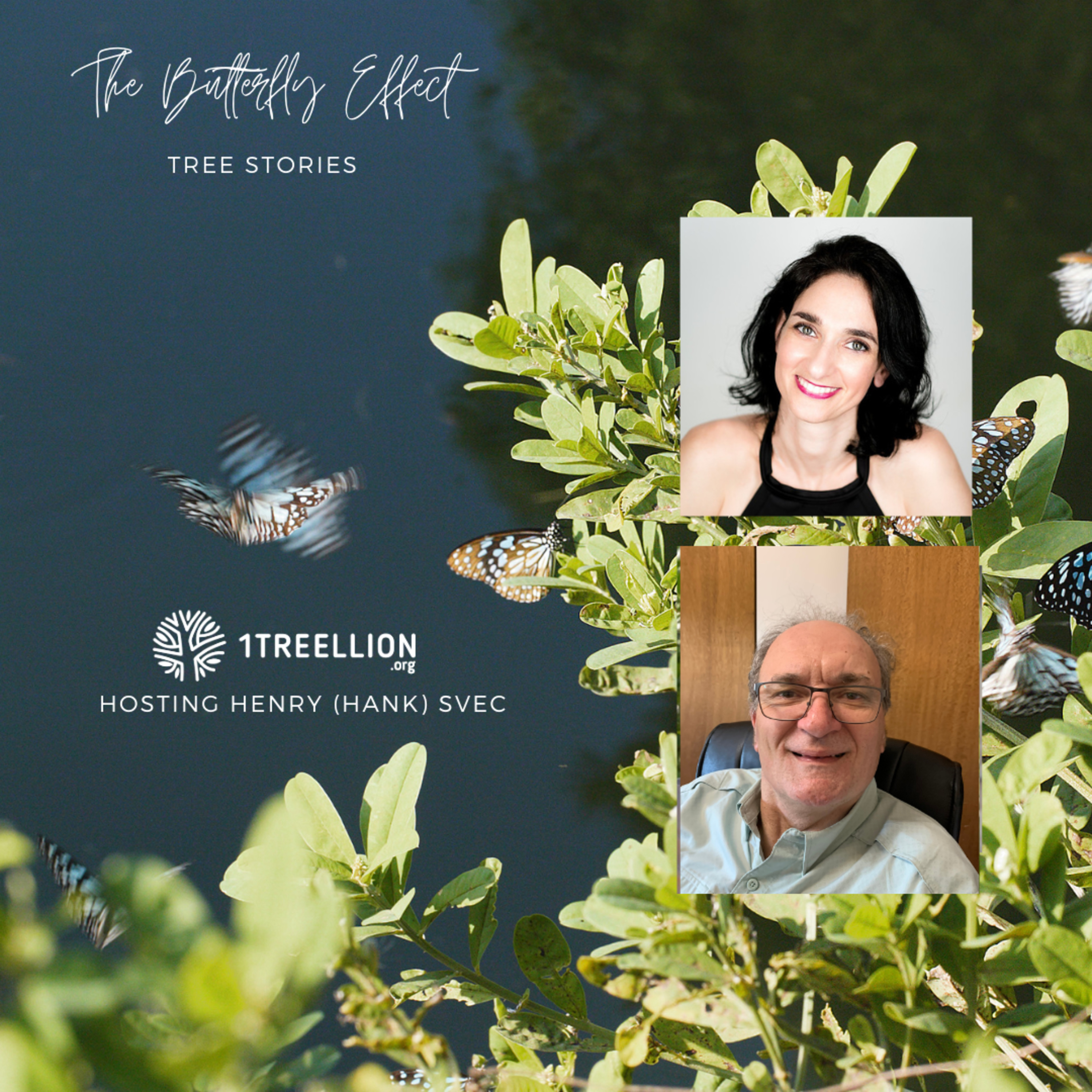Episode 63 / The Butterfly Story of Honeybees as Investors Hosting Hank Svec episode artwork