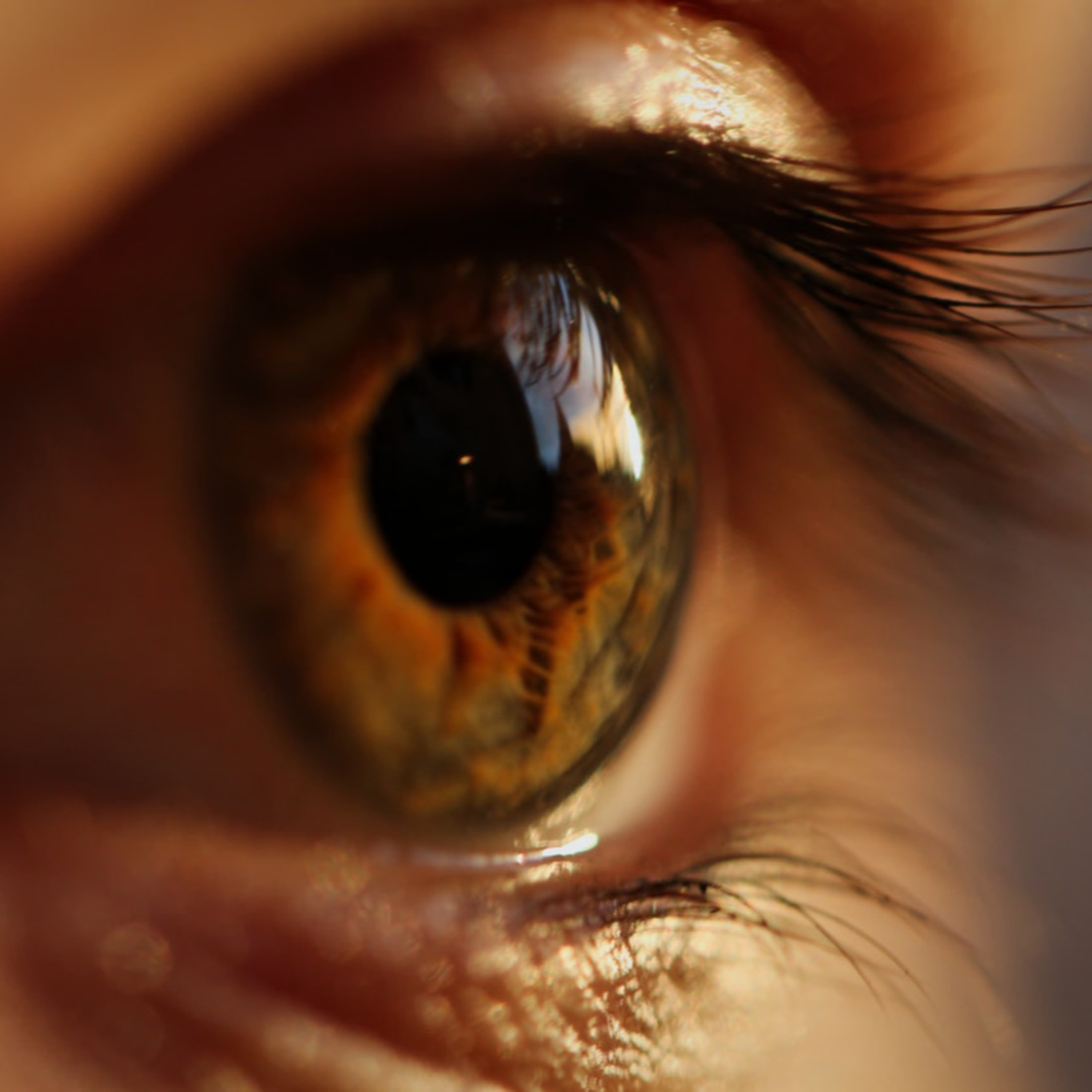 hablemos de Estimulación Visual y Baja Visión