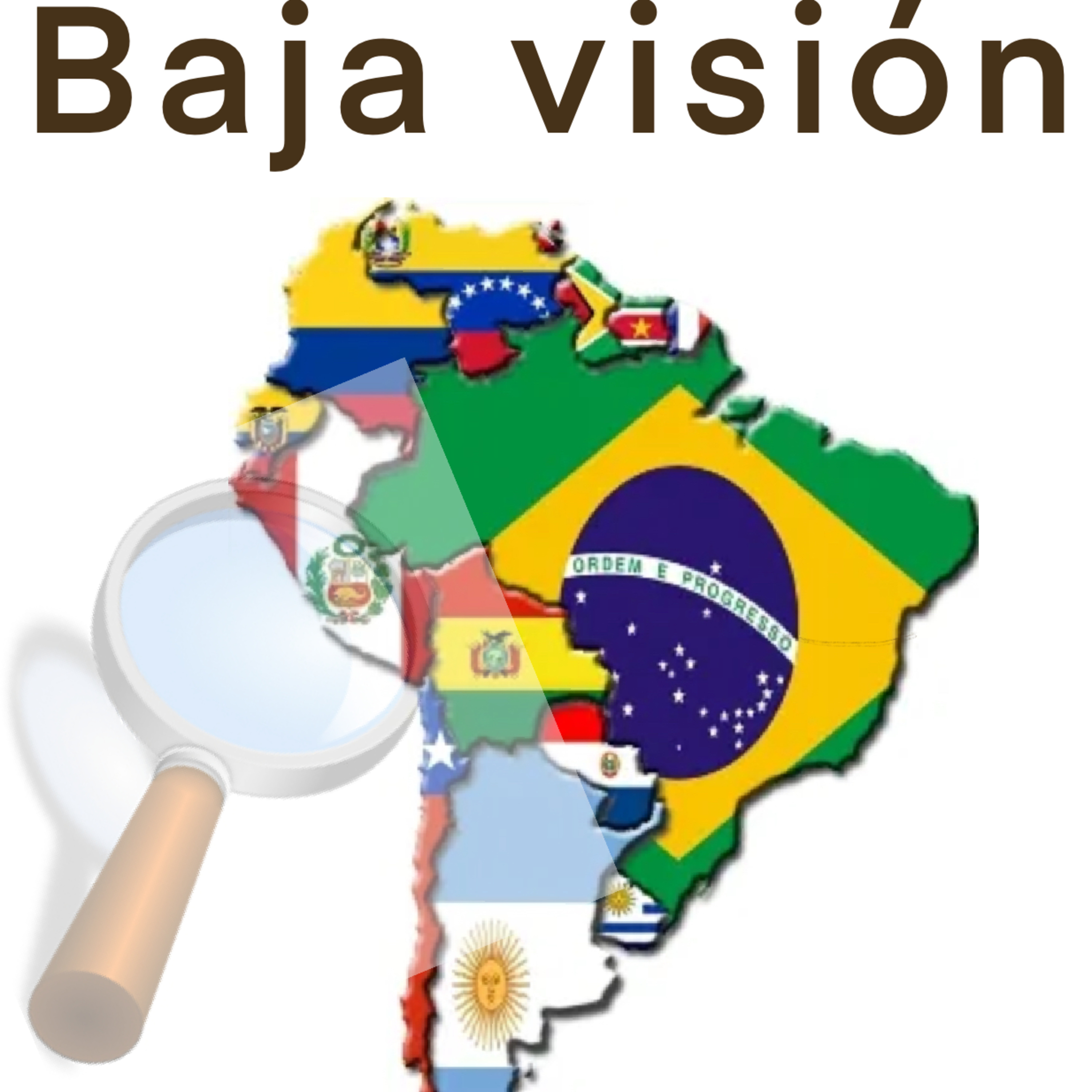 hablemos de Estimulación Visual y Baja Visión