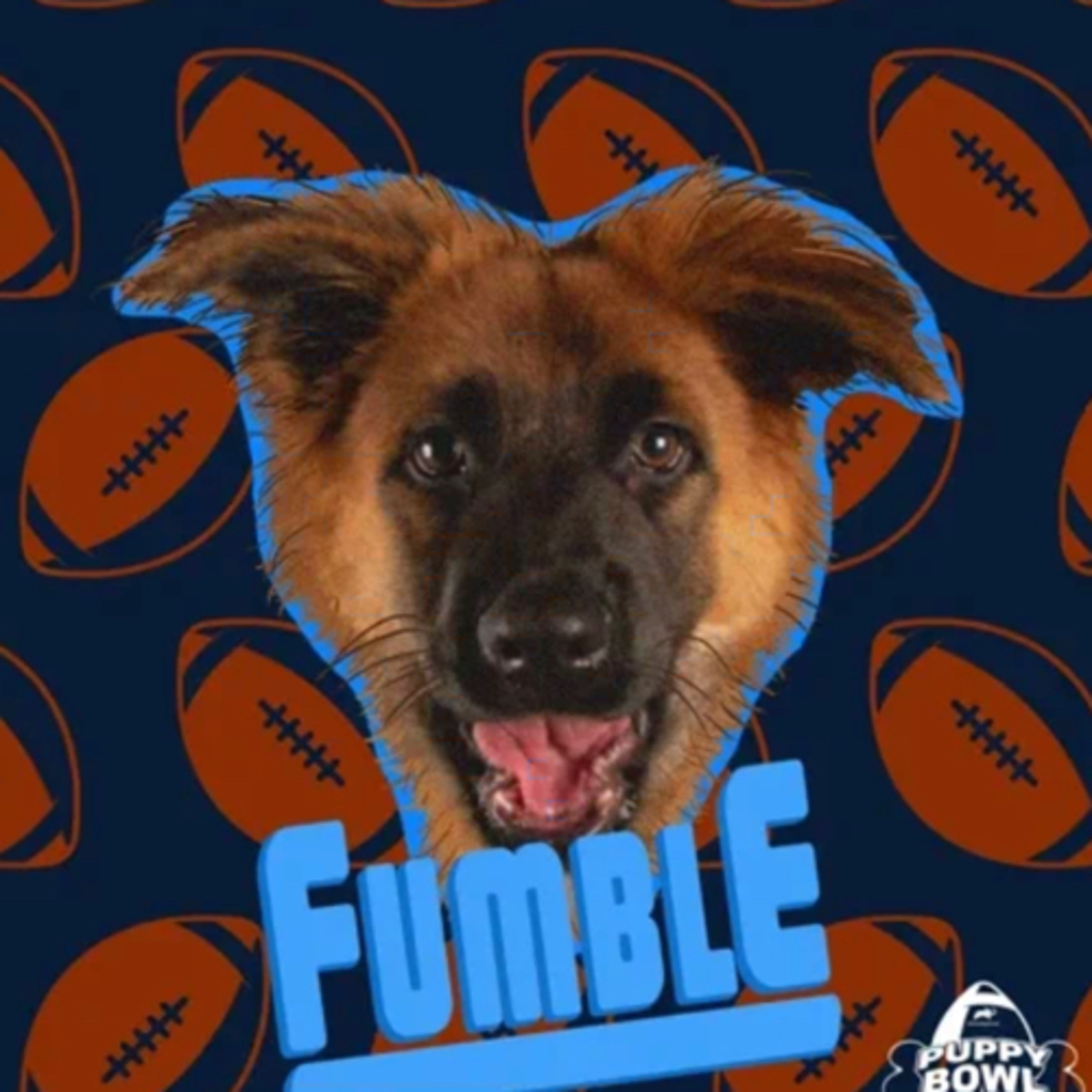 FUMBLE, BUMBLE, AND A FEW (NO A LOT OF DRINKS)