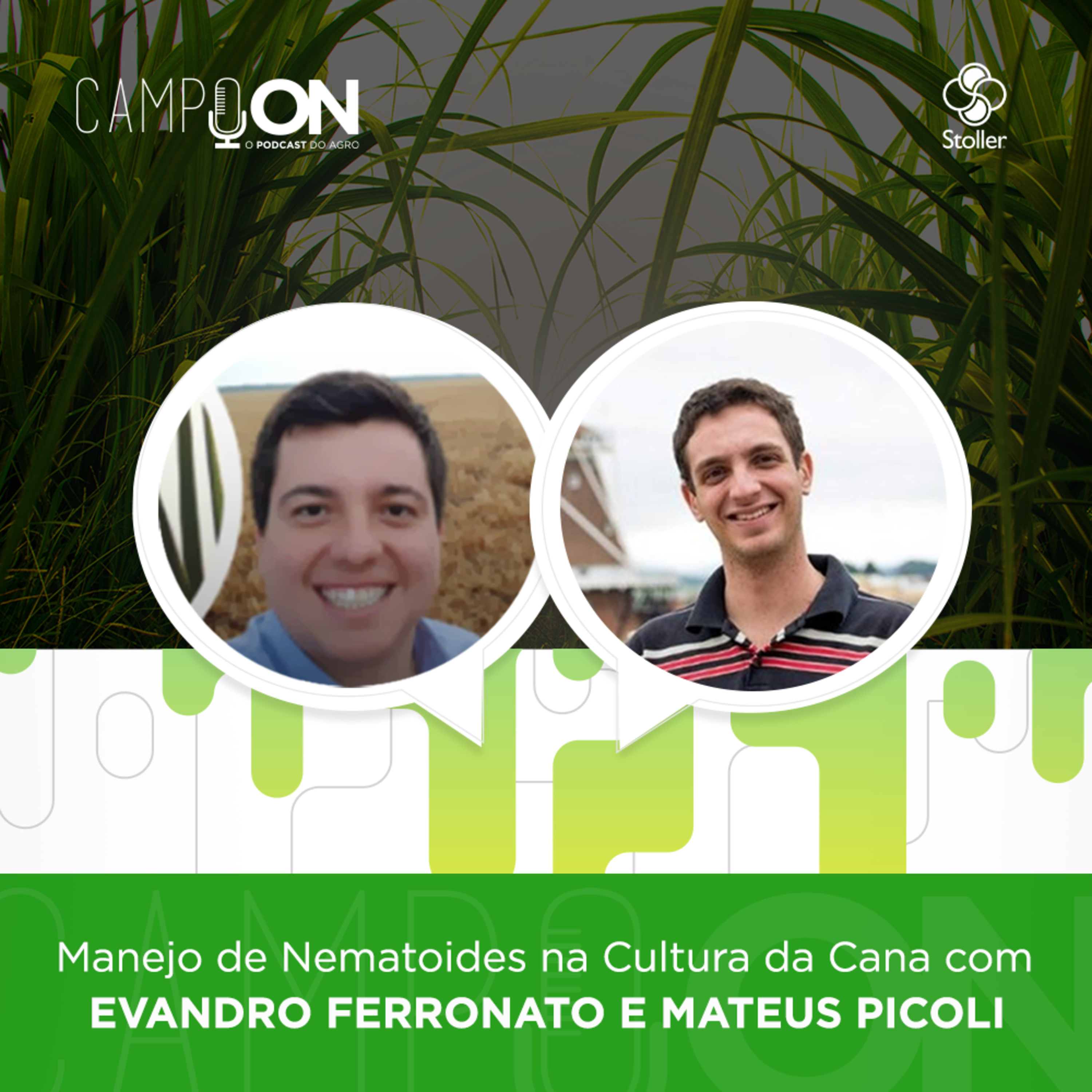 Campo On