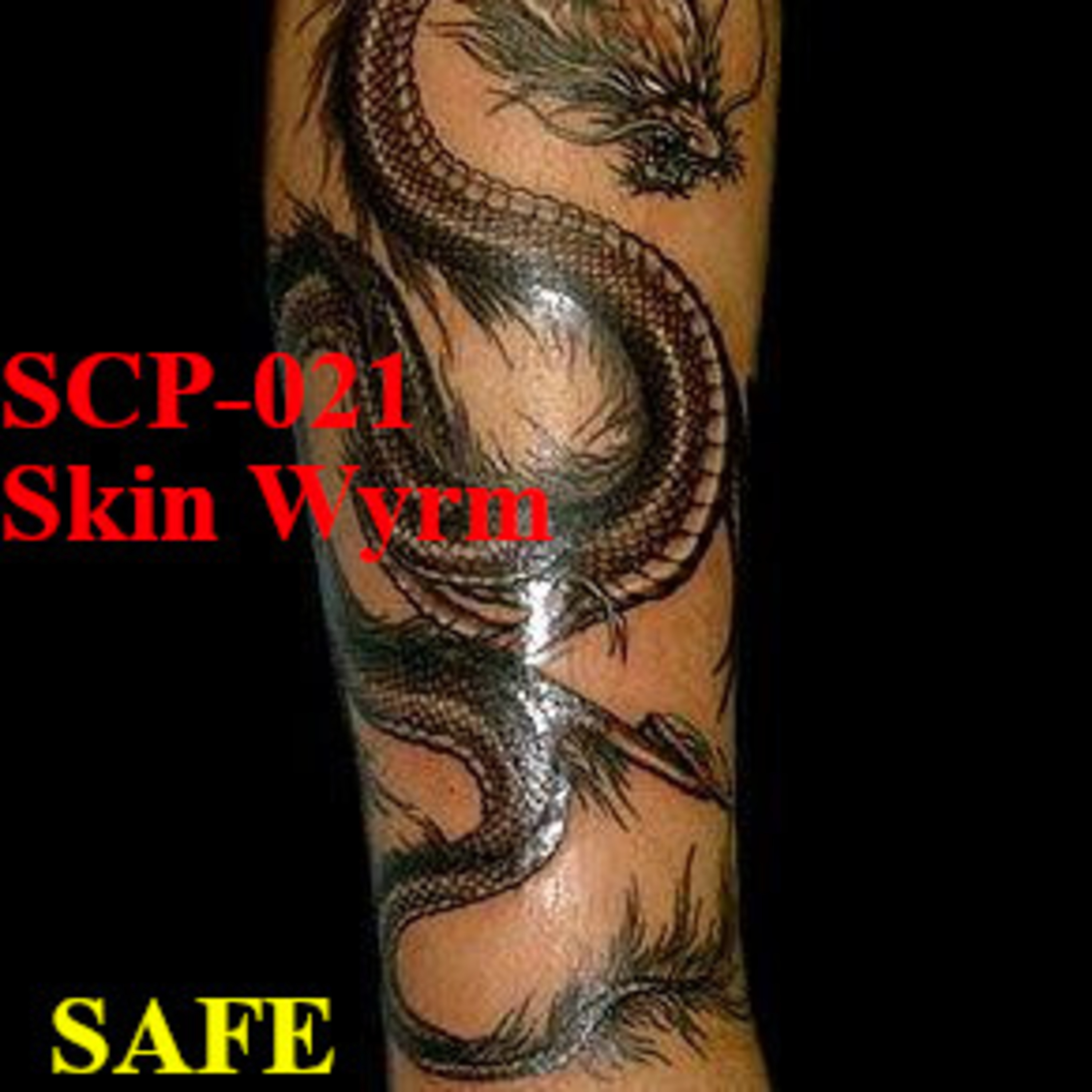 SCP-021: Skin Wyrm | SCP Files