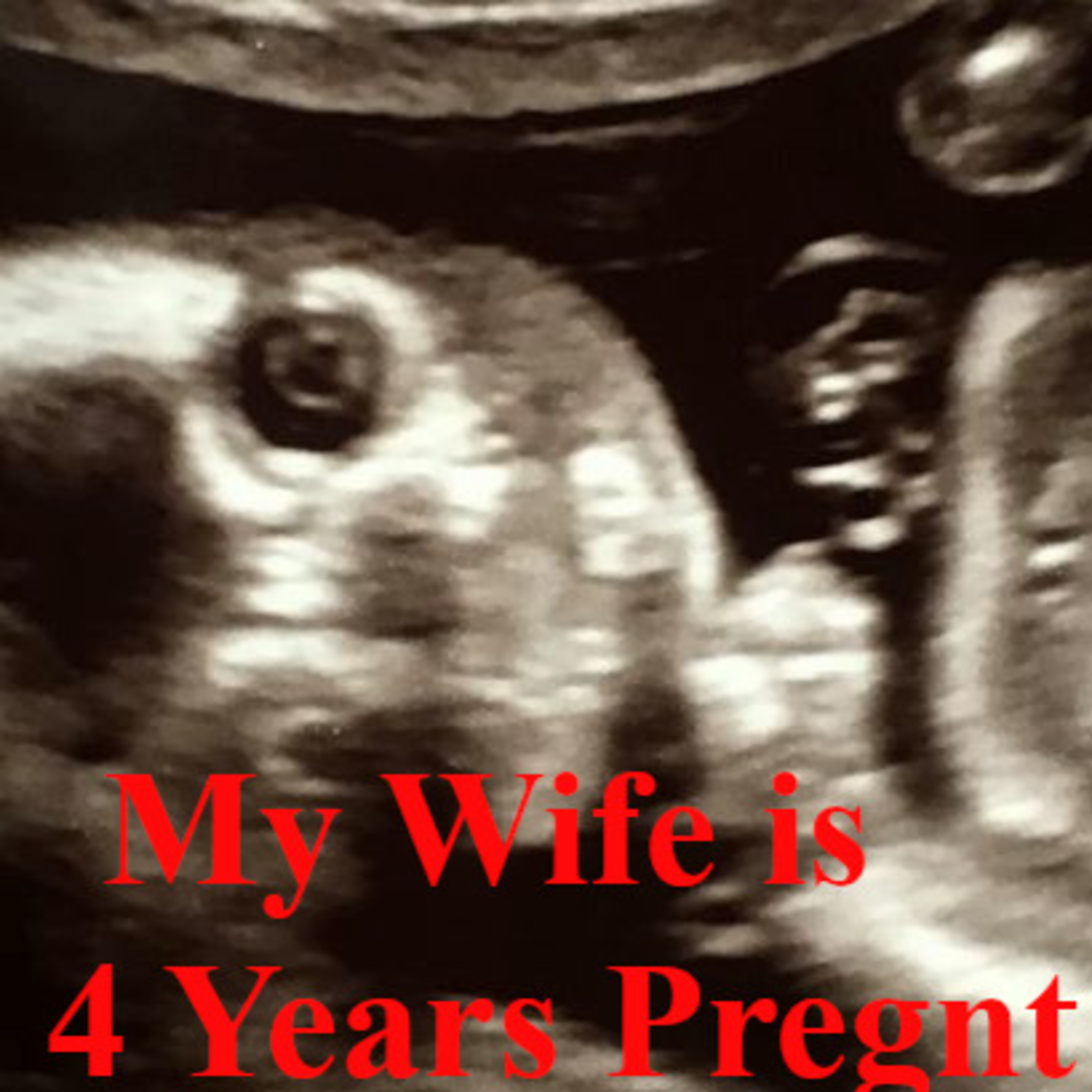 My Wife is Four Years Pregnant | Short Creepypasta episode artwork