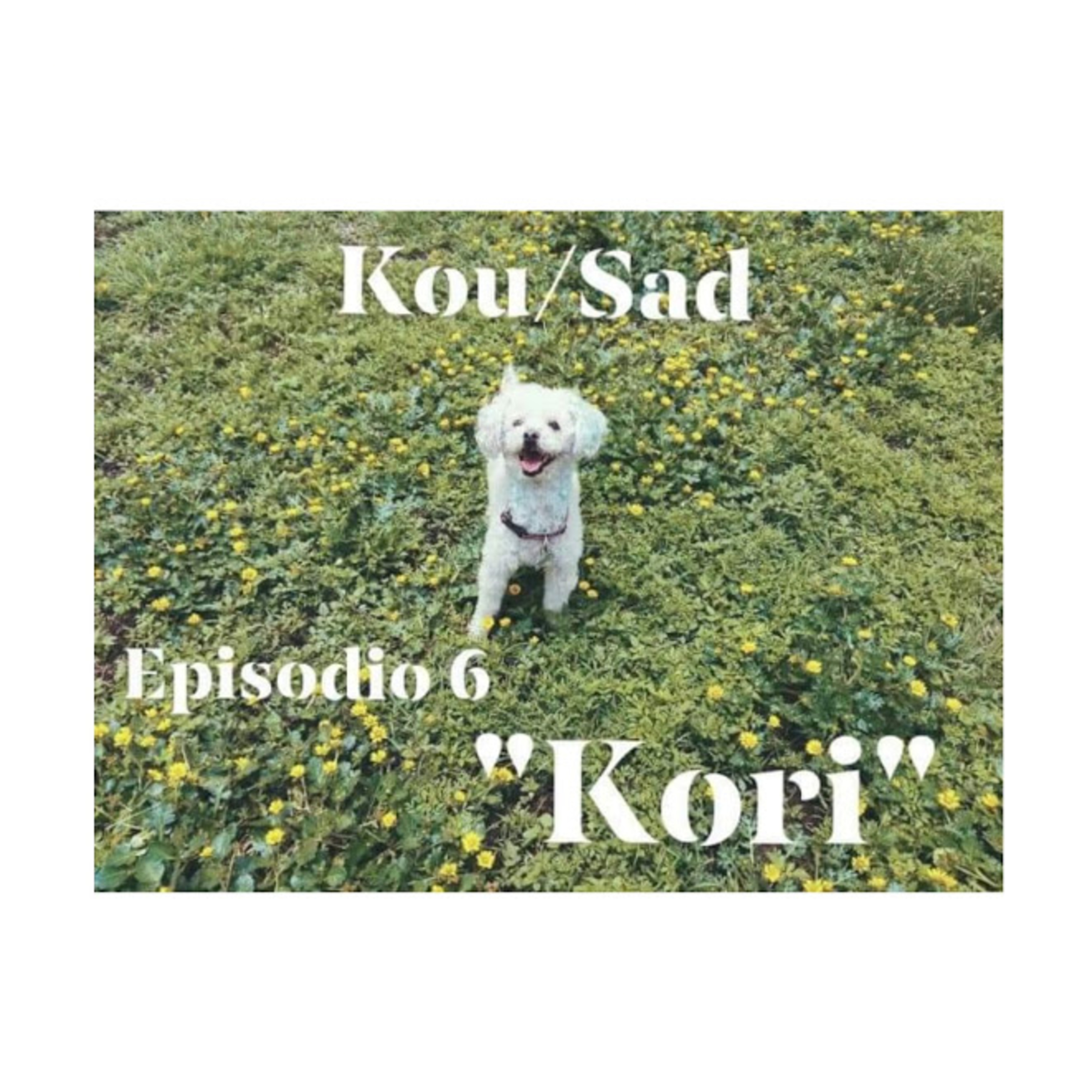 Kou/Sad