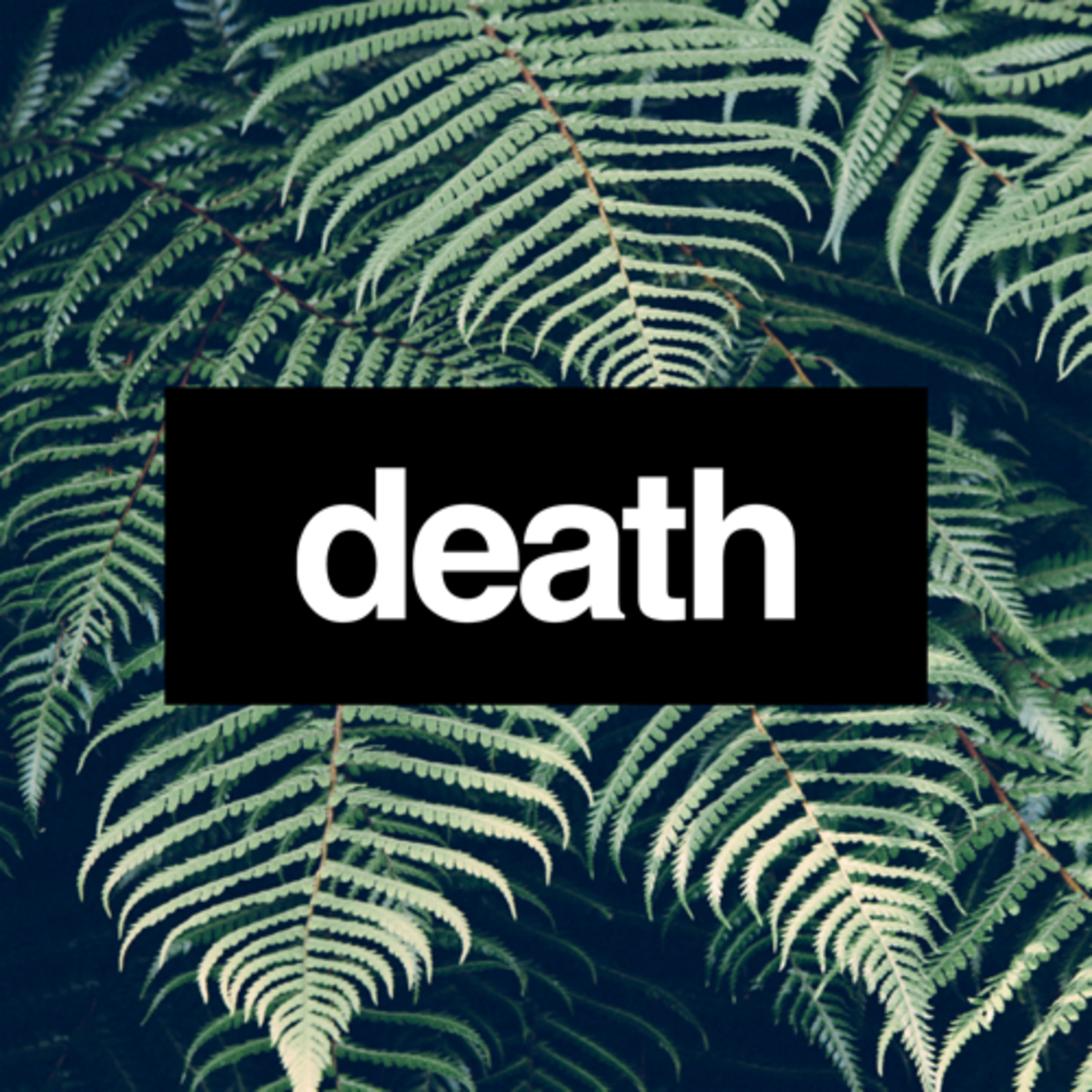 BAPTIZED INTO HIS DEATH episode artwork