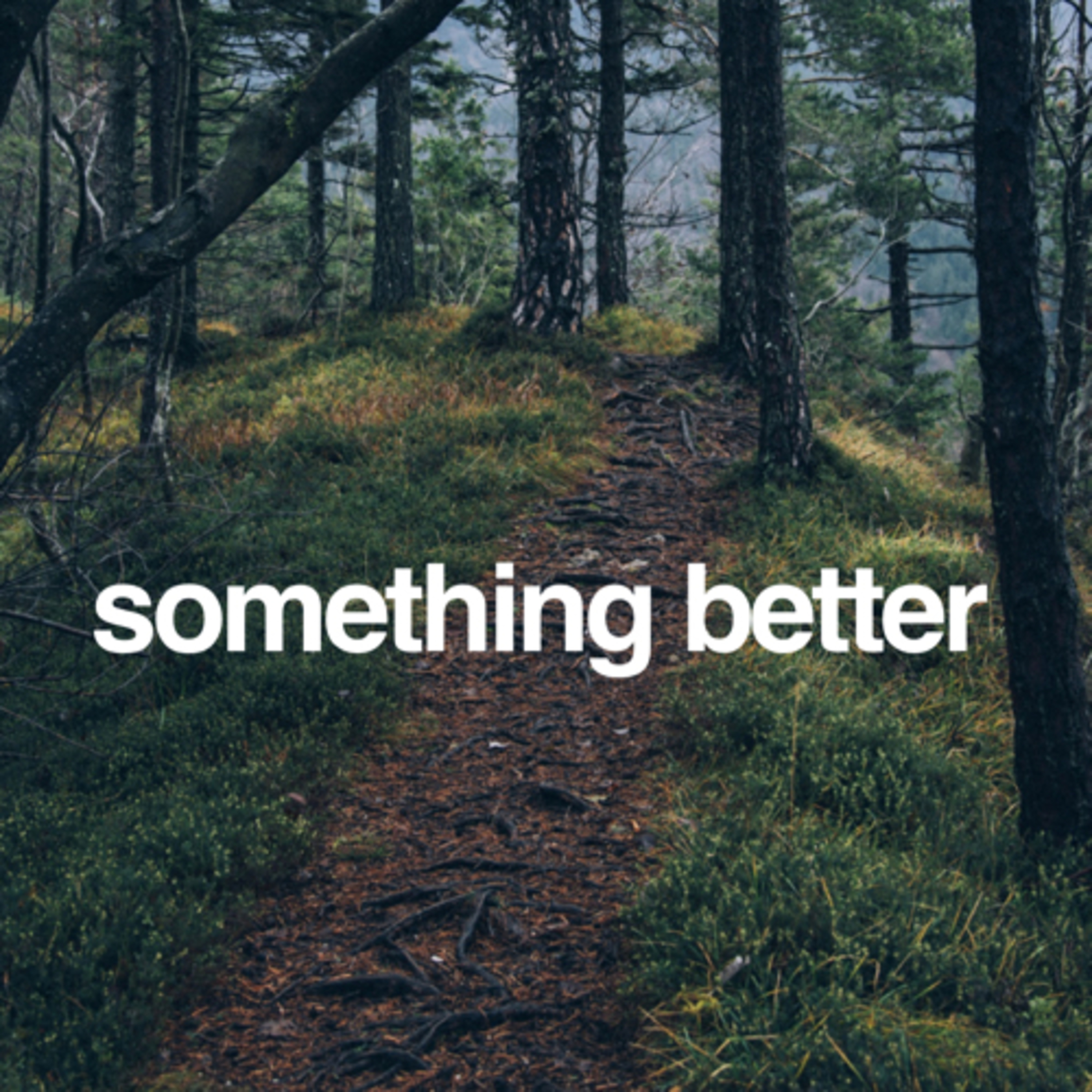 SOMETHING BETTER episode artwork