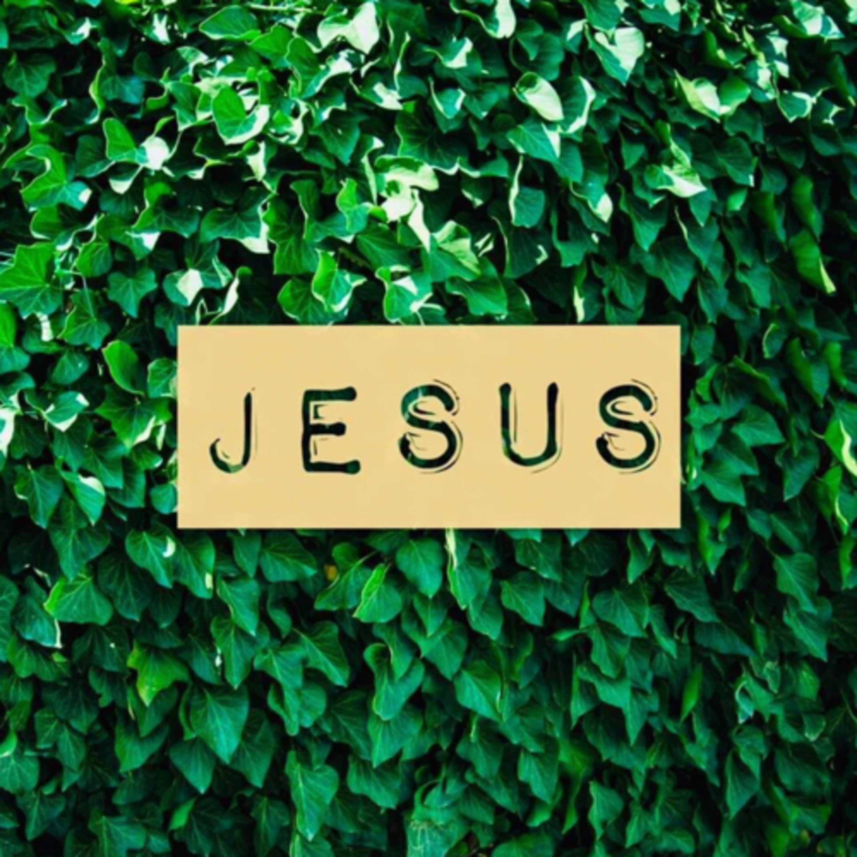 Jesus at the Nut House 