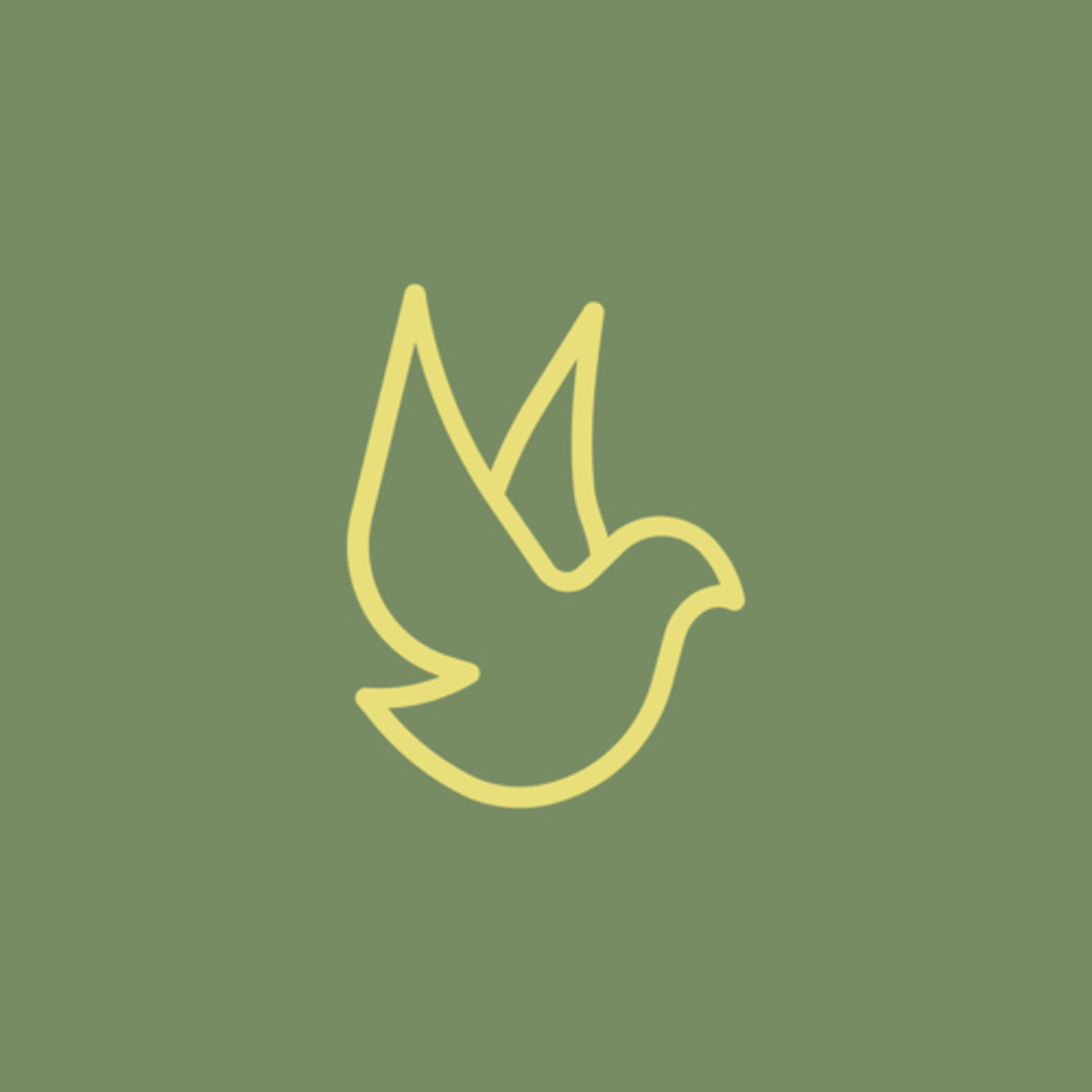 Why get baptized in the Holy Spirit? 