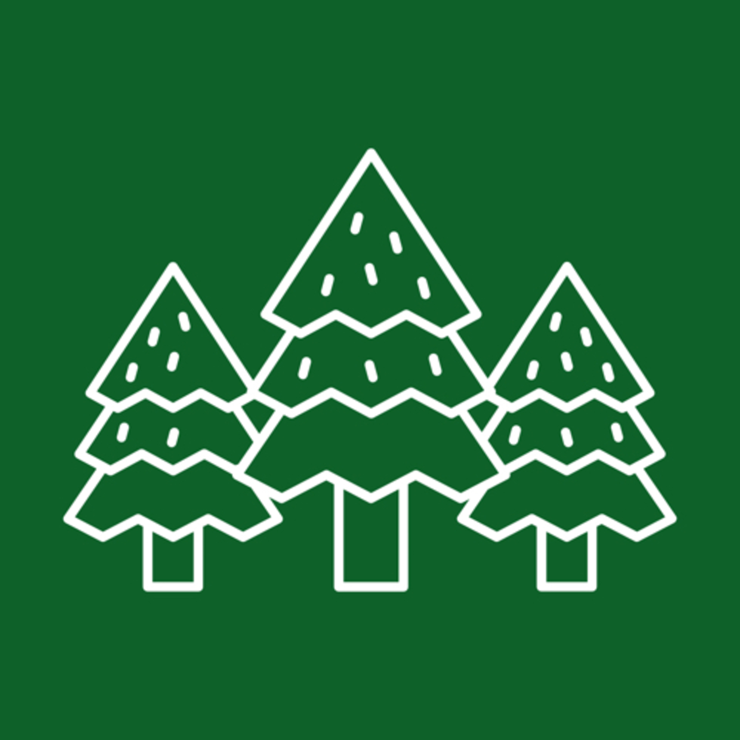 Up In the North Woods  episode artwork