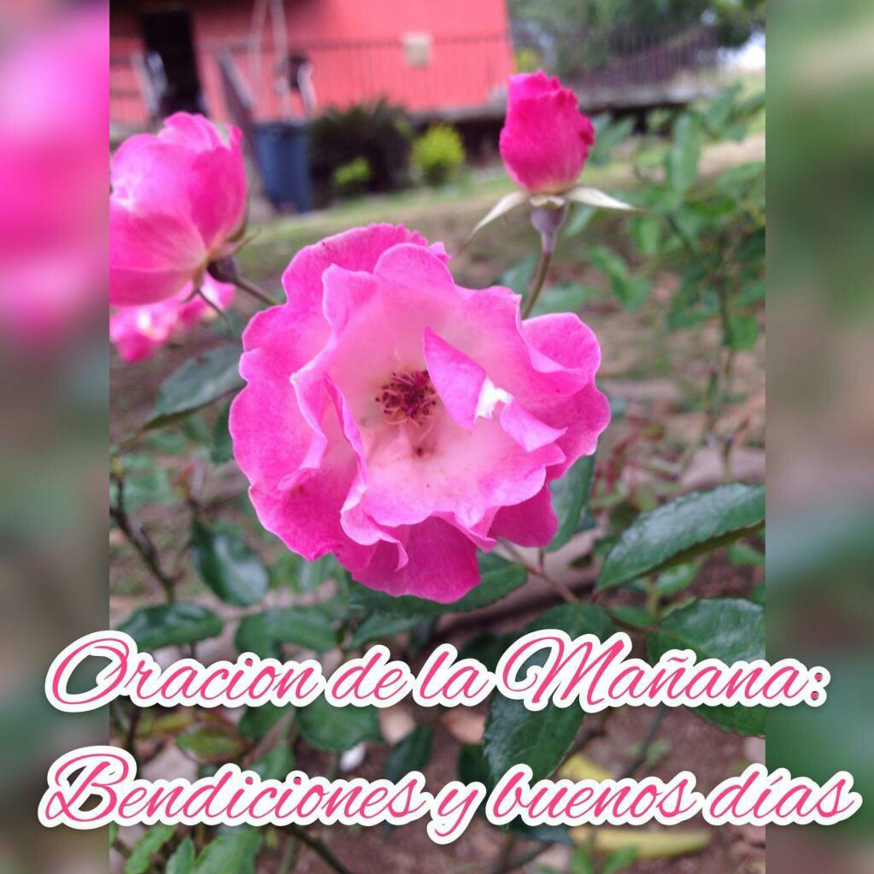 Versos regalado por nuestros Señor.