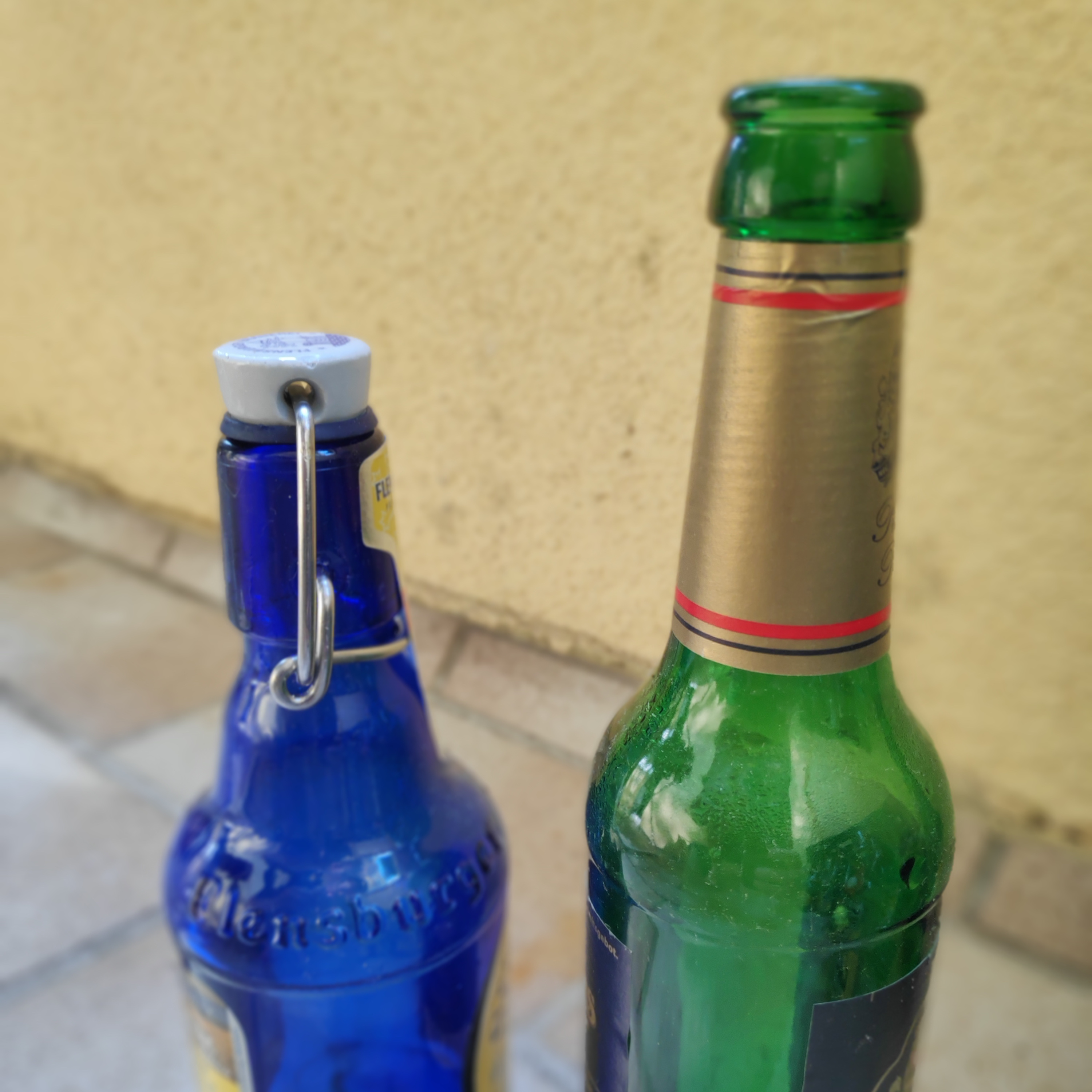 Bierlinguales Lehrgut