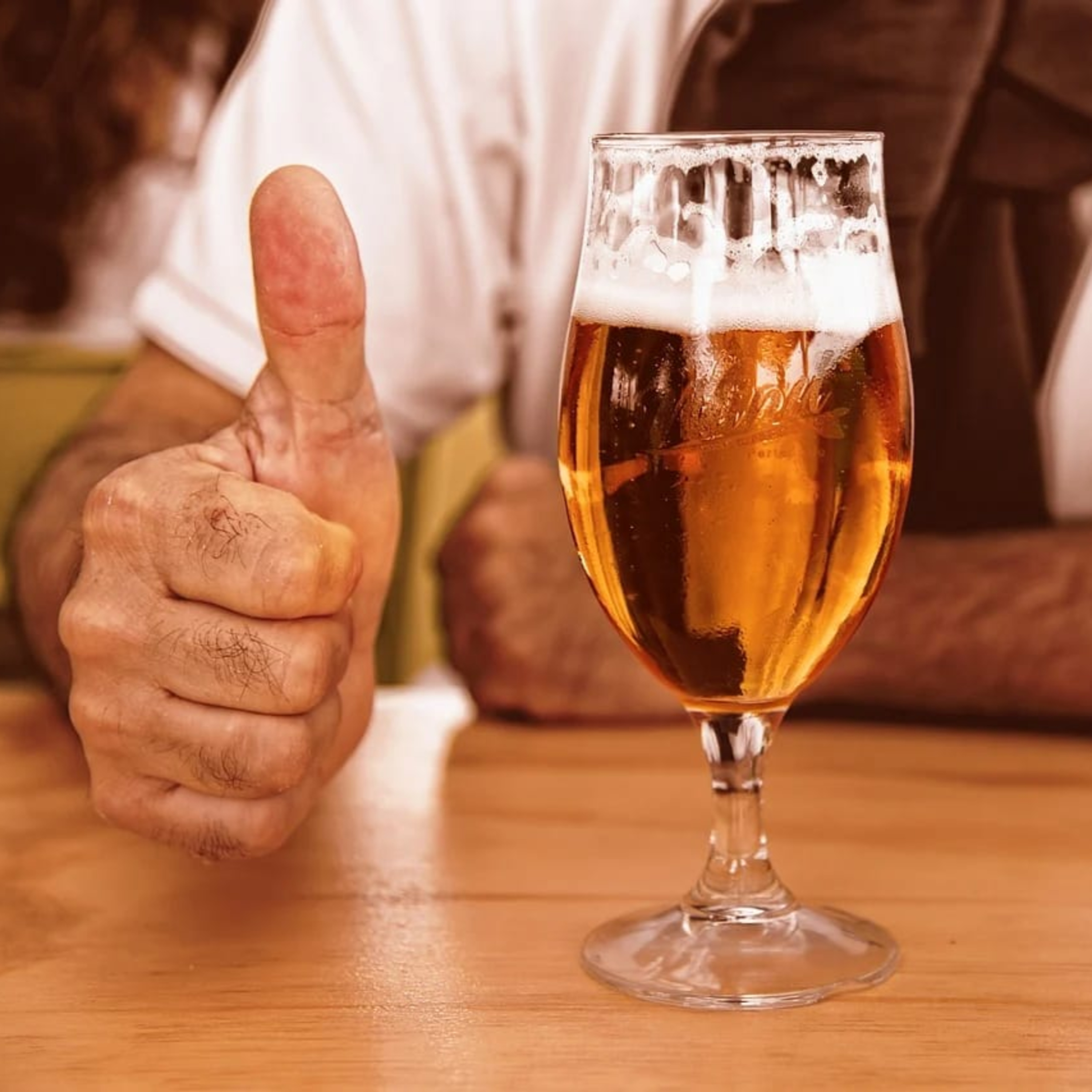 Bierlinguales Lehrgut