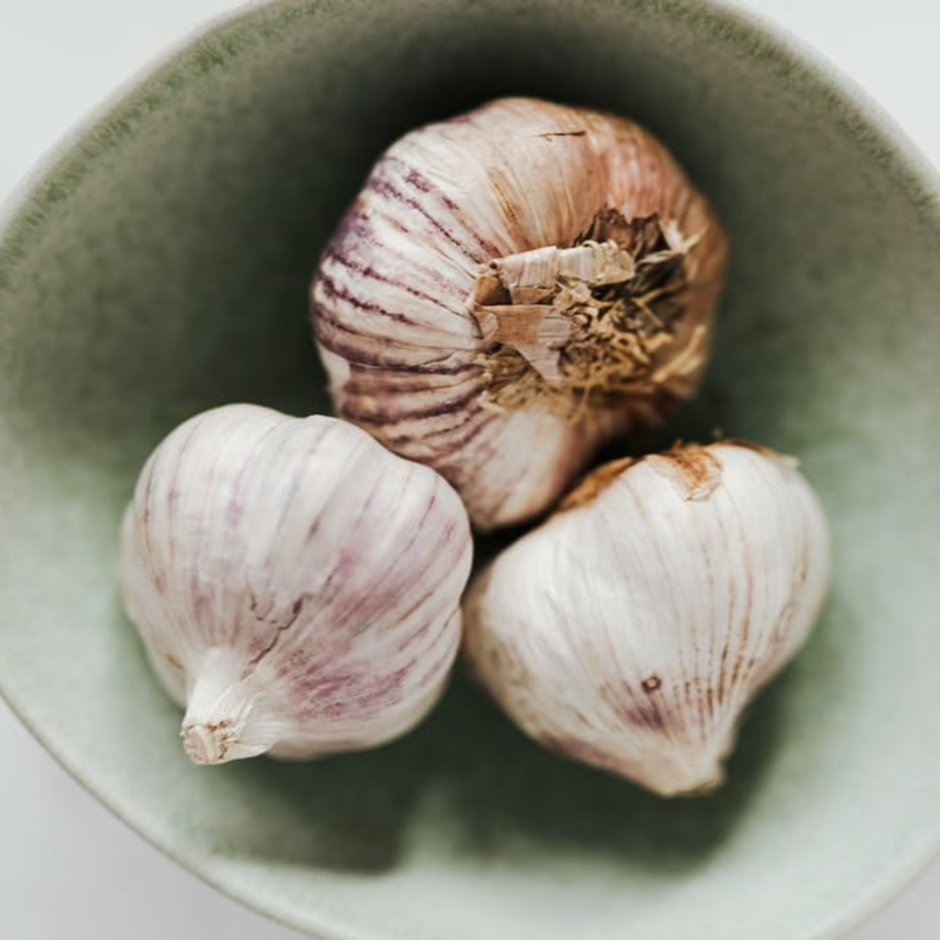 Bierlinguales Lehrgut