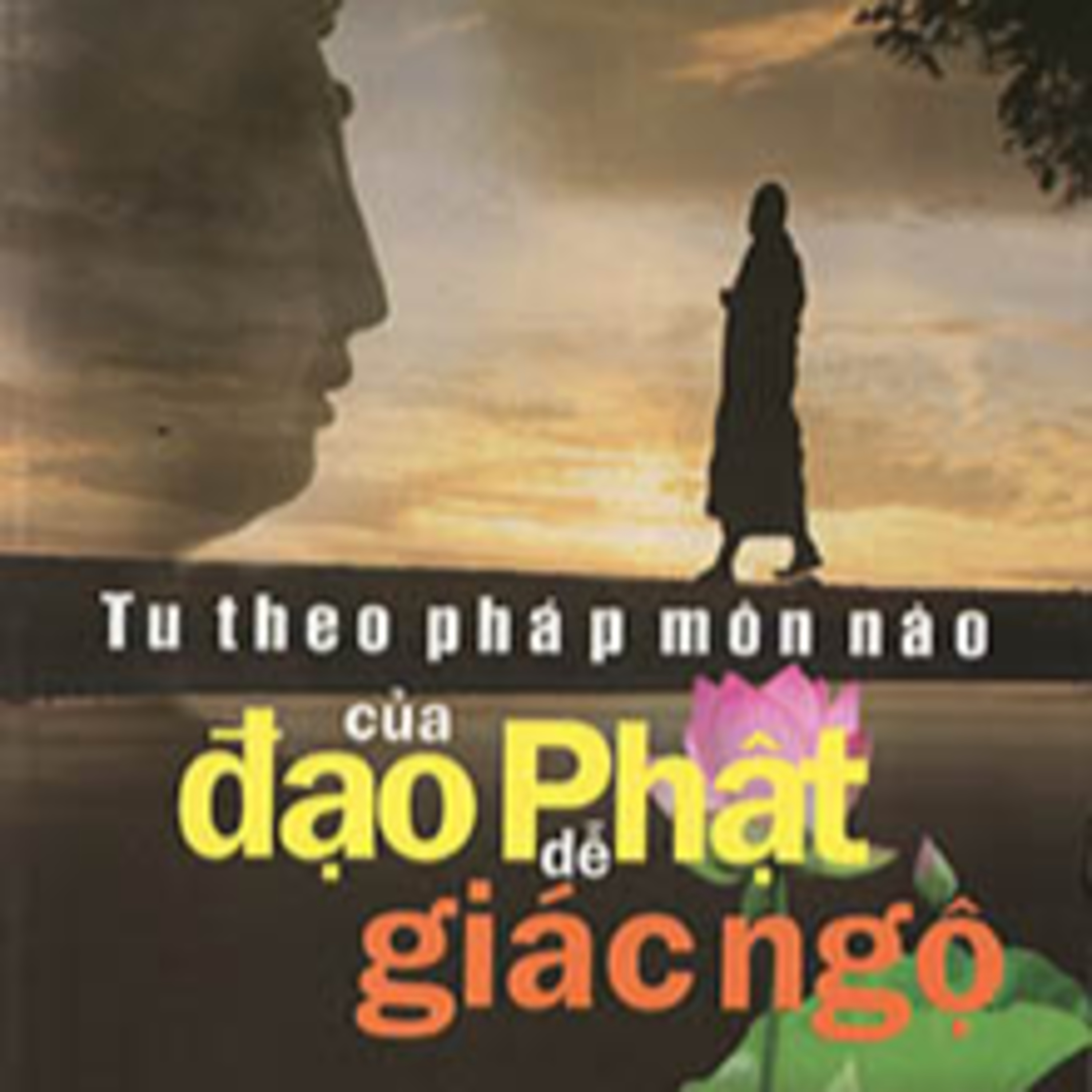 Đạo Phật Pháp Môn Thiền Tông
