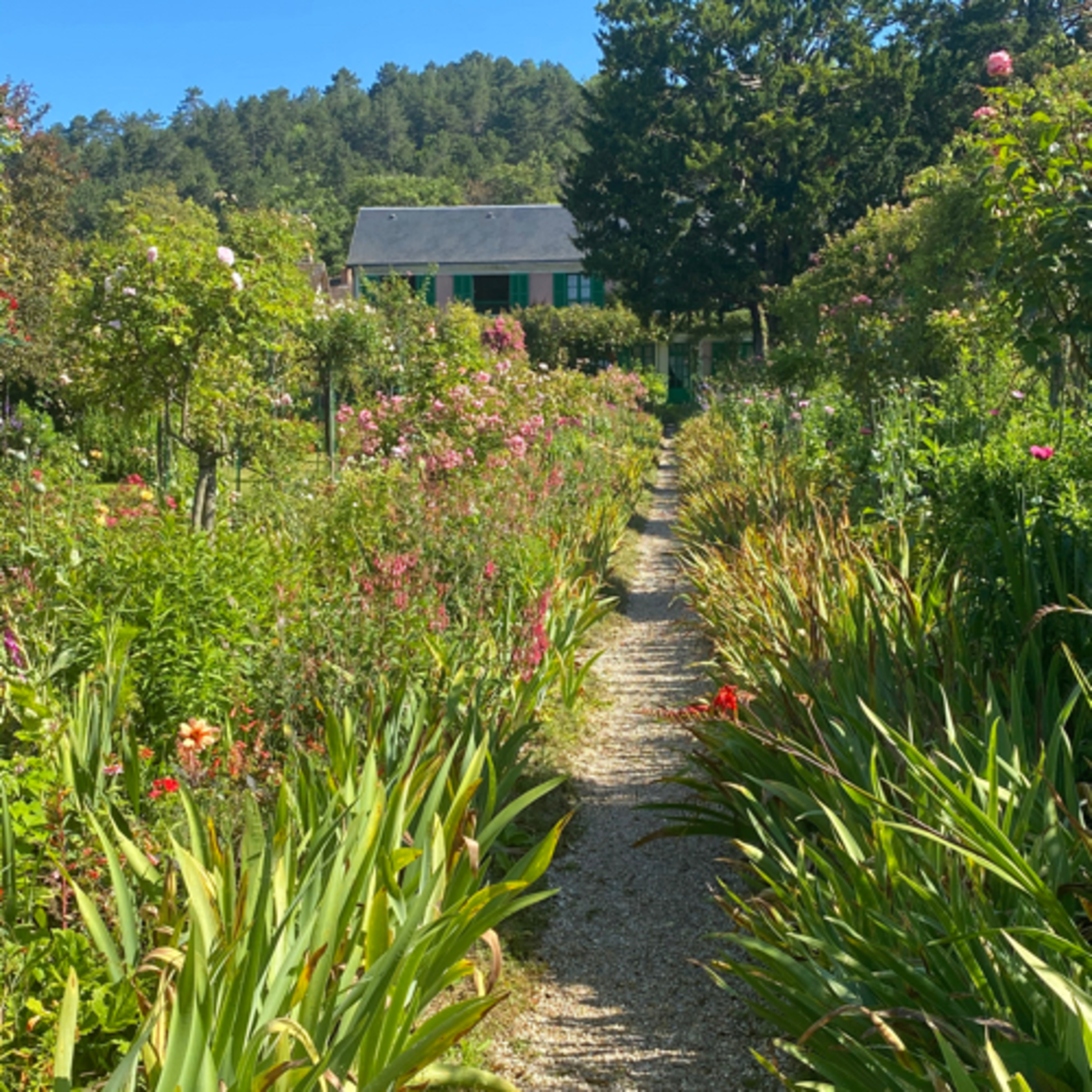 Biking with Claude at Giverny